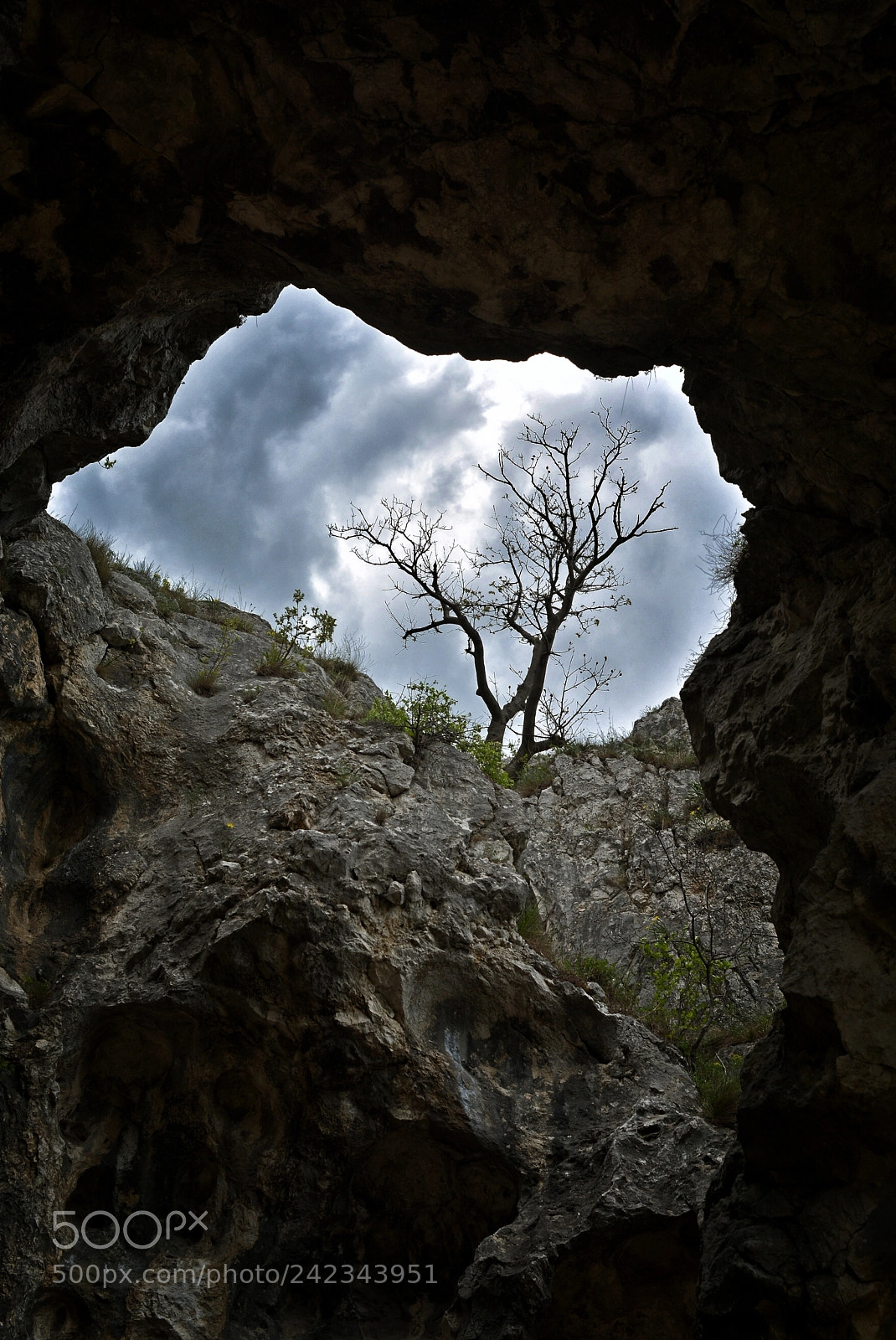 Nikon D7100 sample photo. Lost photography