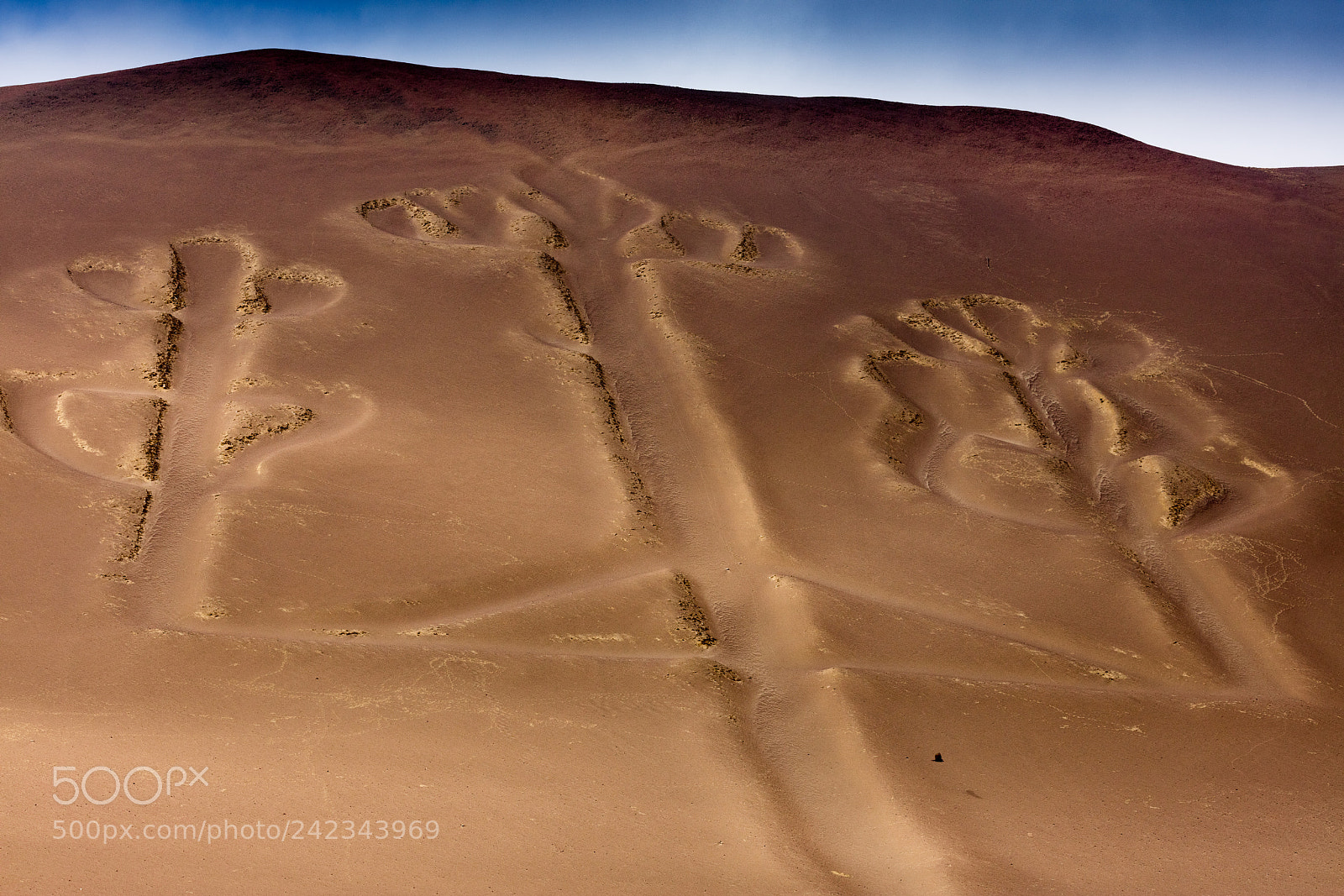 Canon EOS 5DS R sample photo. Ballestas candelabrum mark photography