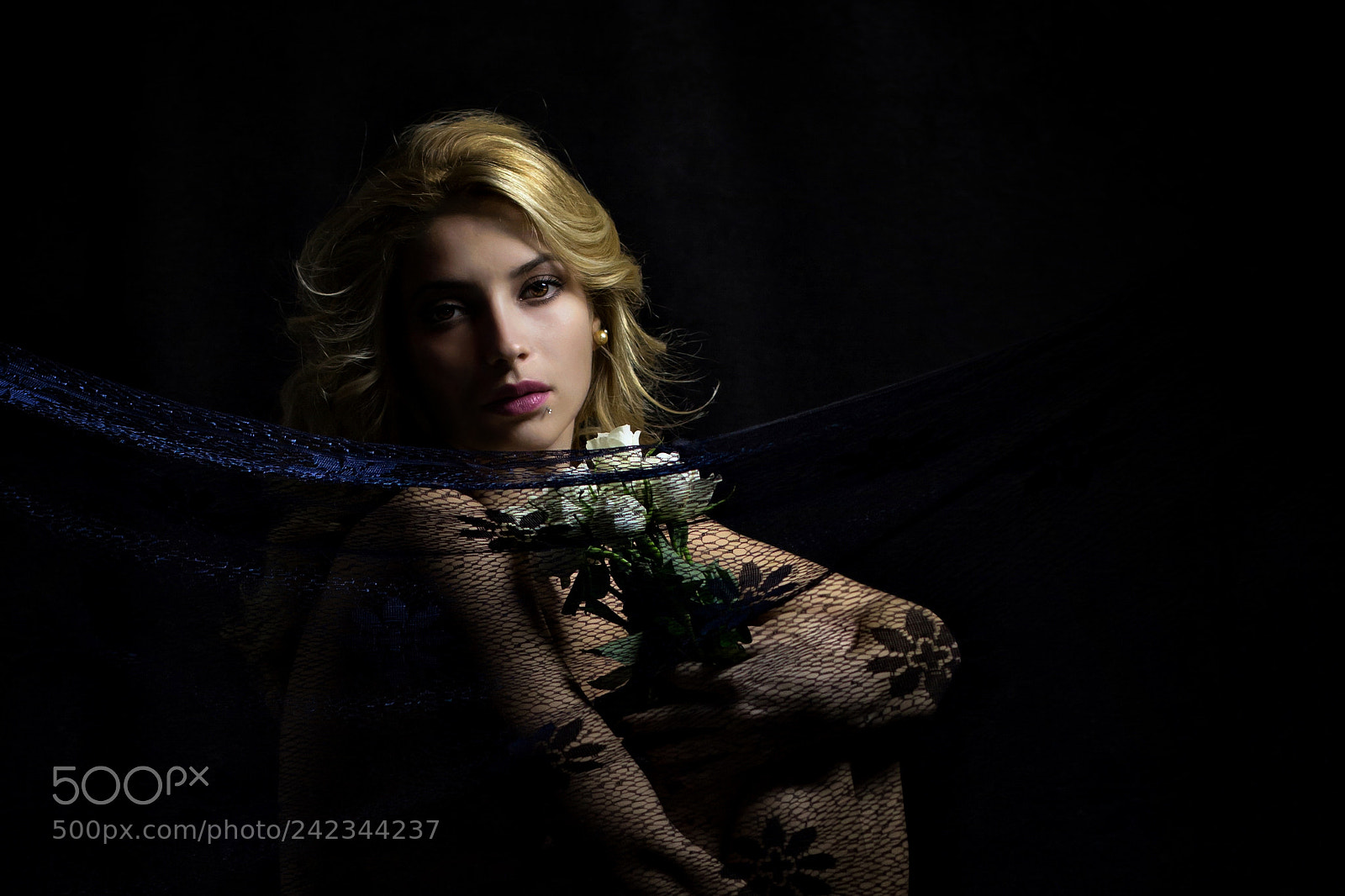 Canon EOS 60D sample photo. Blue lace photography
