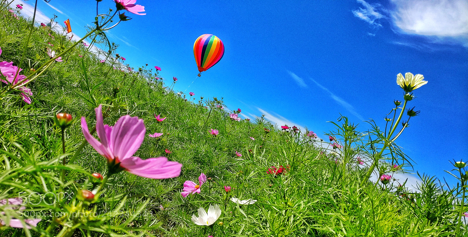 OnePlus A3000 sample photo. Untitled photography