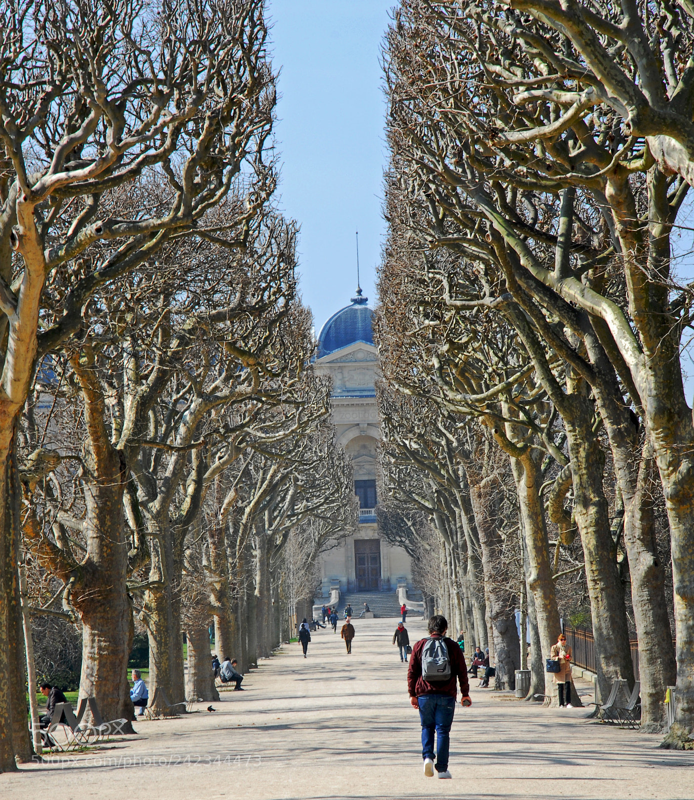 Nikon D200 sample photo. Jardin des plantes photography