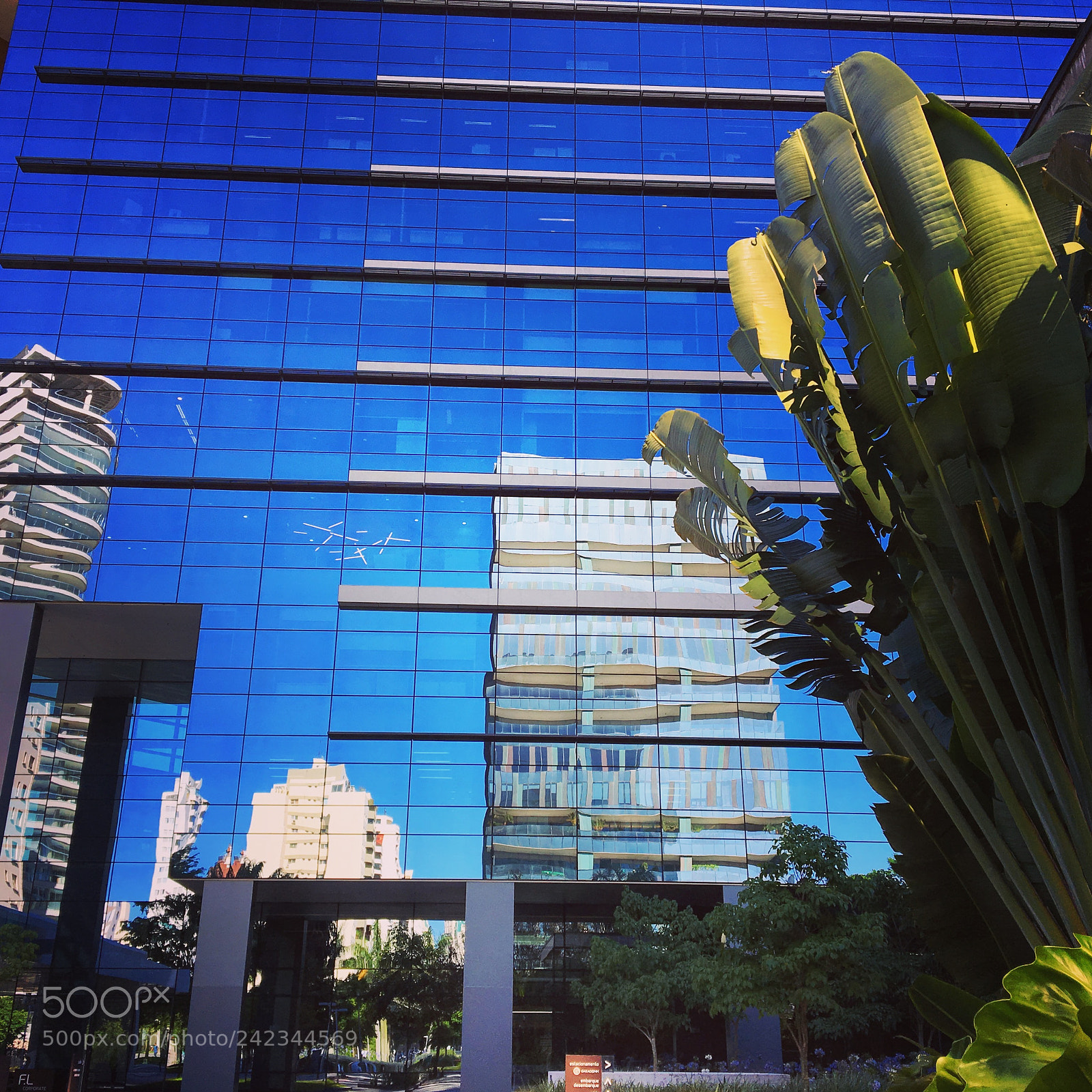 Apple iPhone 6s sample photo. Reflections photography