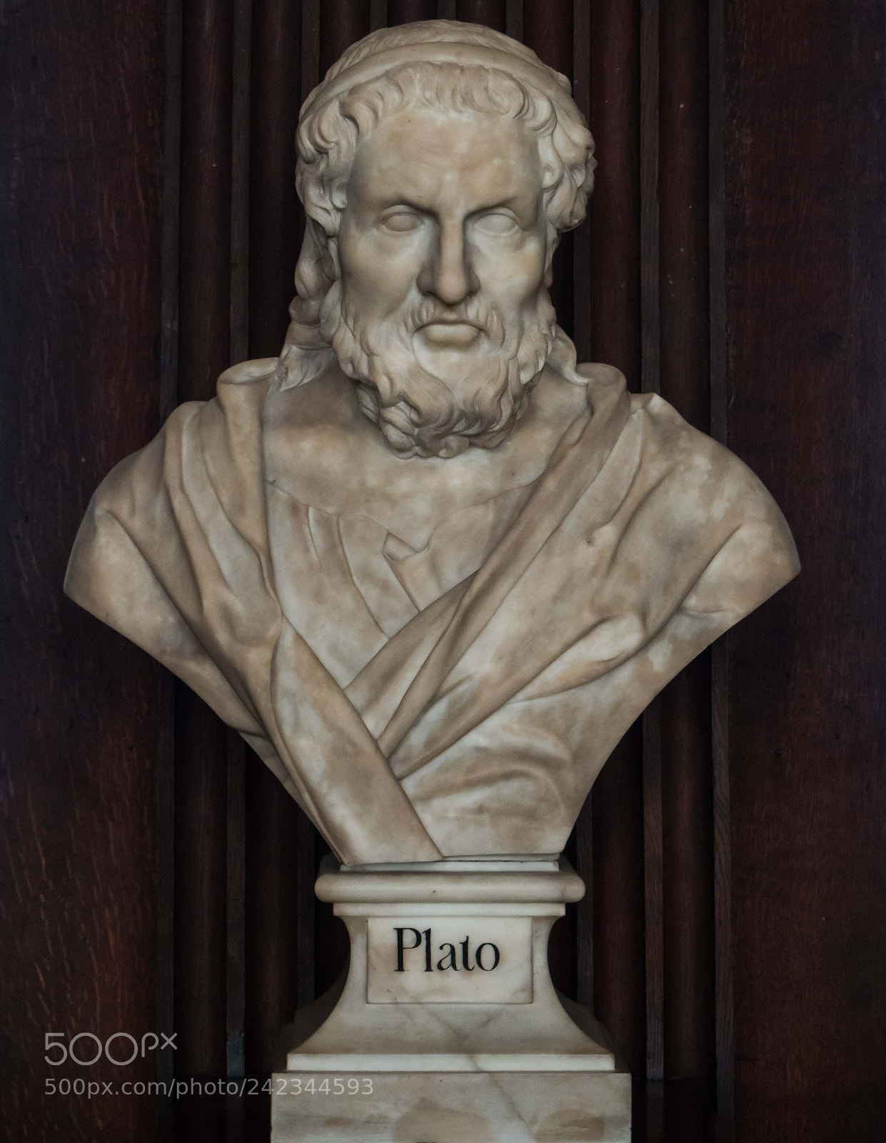 Olympus OM-D E-M10 sample photo. Bust of plato photography