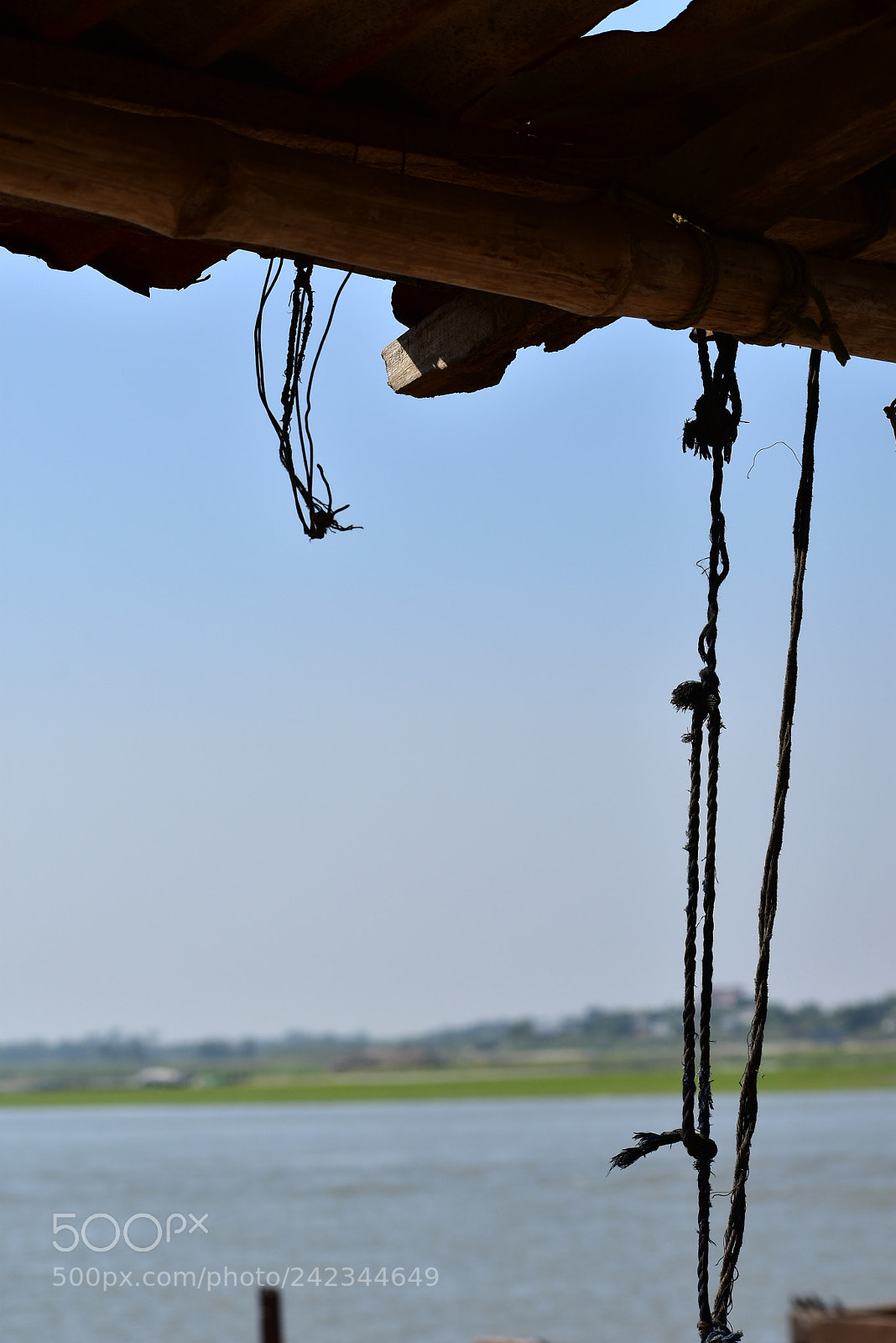 Nikon D3400 sample photo. Untitled photography