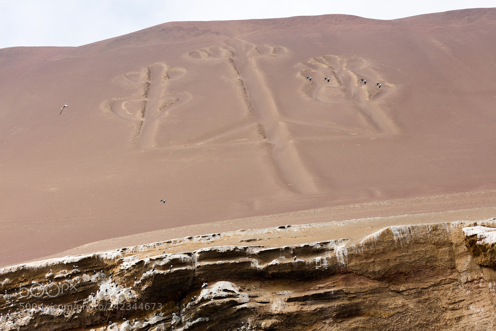 Canon EOS 5DS R sample photo. Ballestas candelabrum mark photography