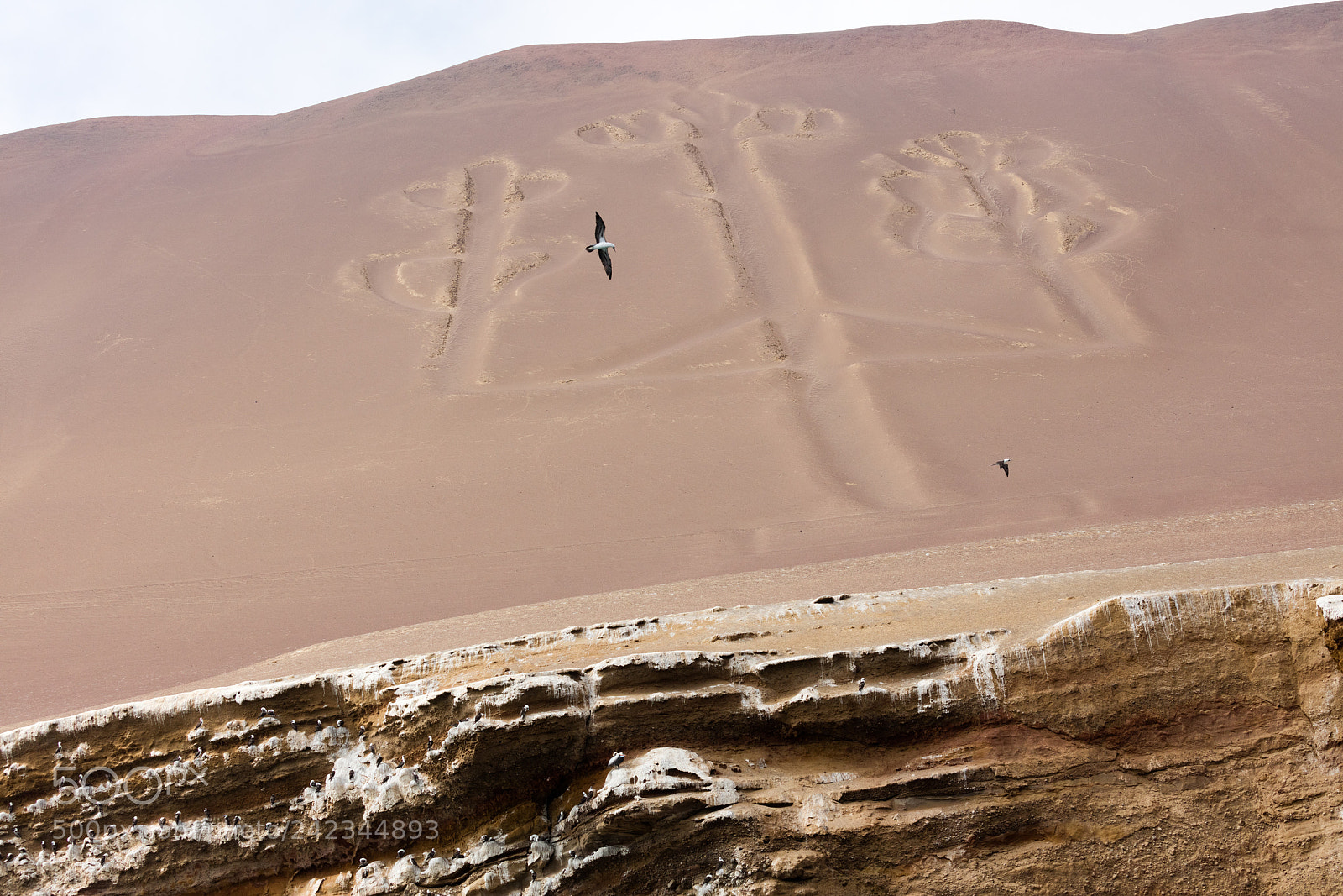 Canon EOS 5DS R sample photo. Ballestas candelabrum mark photography