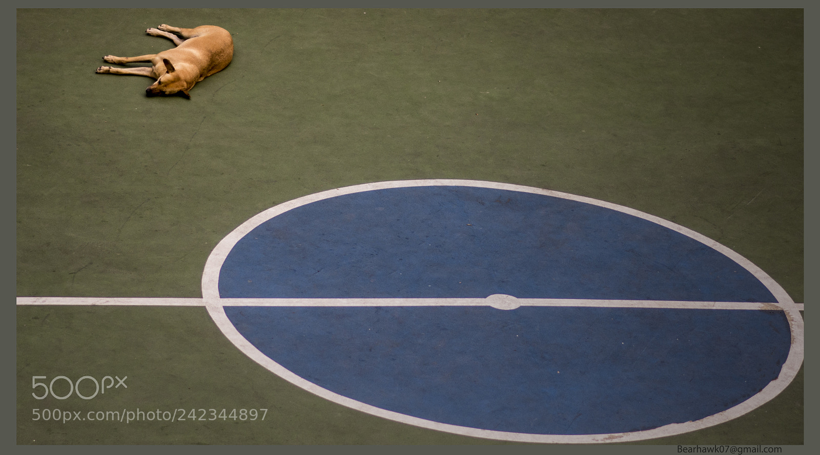 Nikon D7200 sample photo. 314.jpg photography