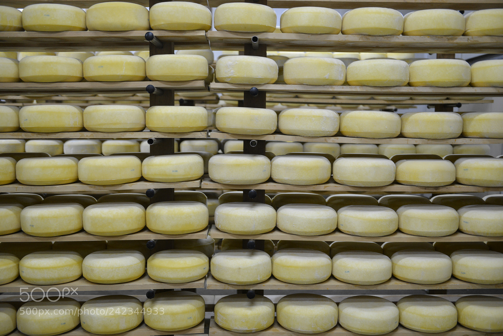 Nikon D800E sample photo. Altai cheeses photography