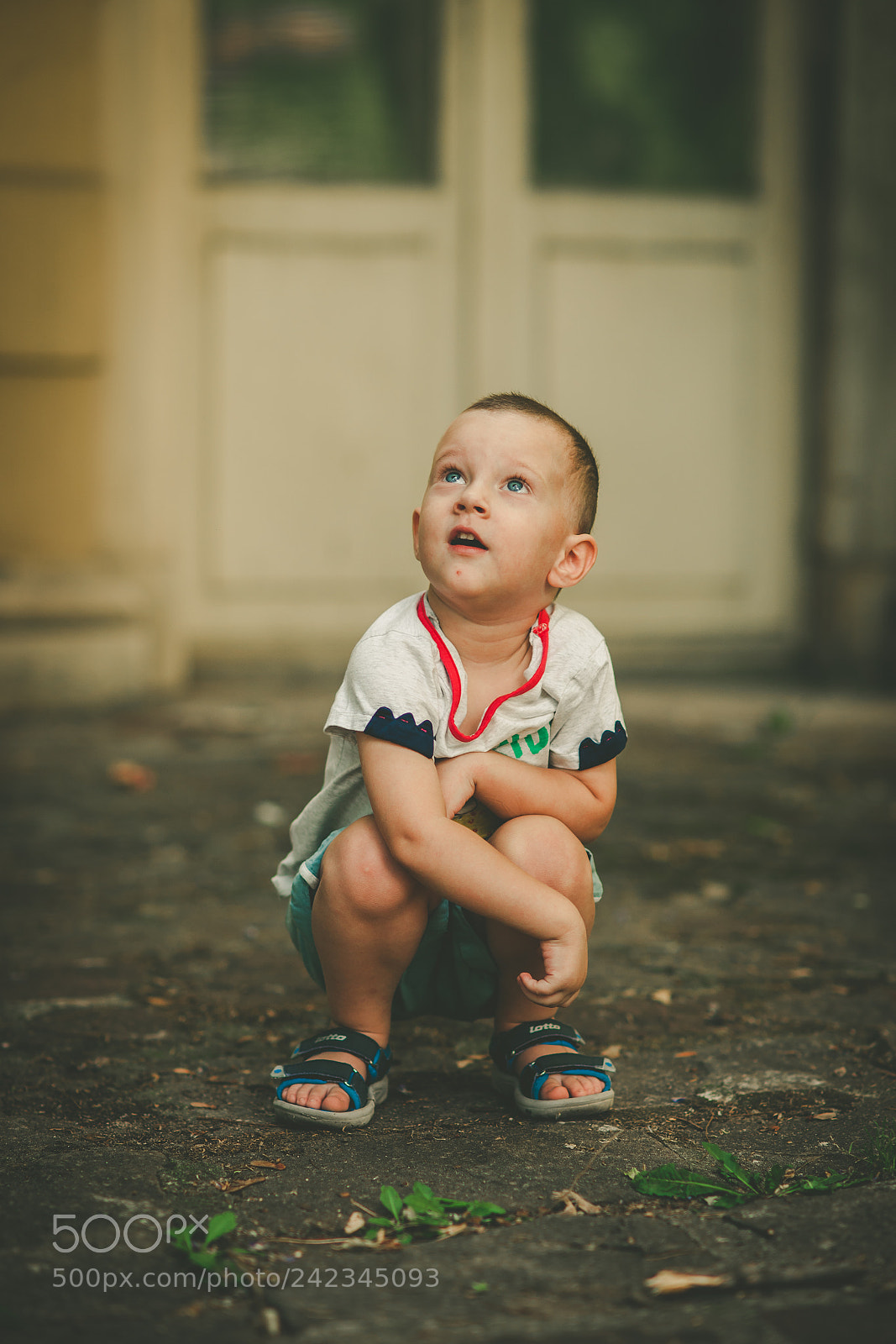 Sony Alpha DSLR-A900 sample photo. Untitled photography