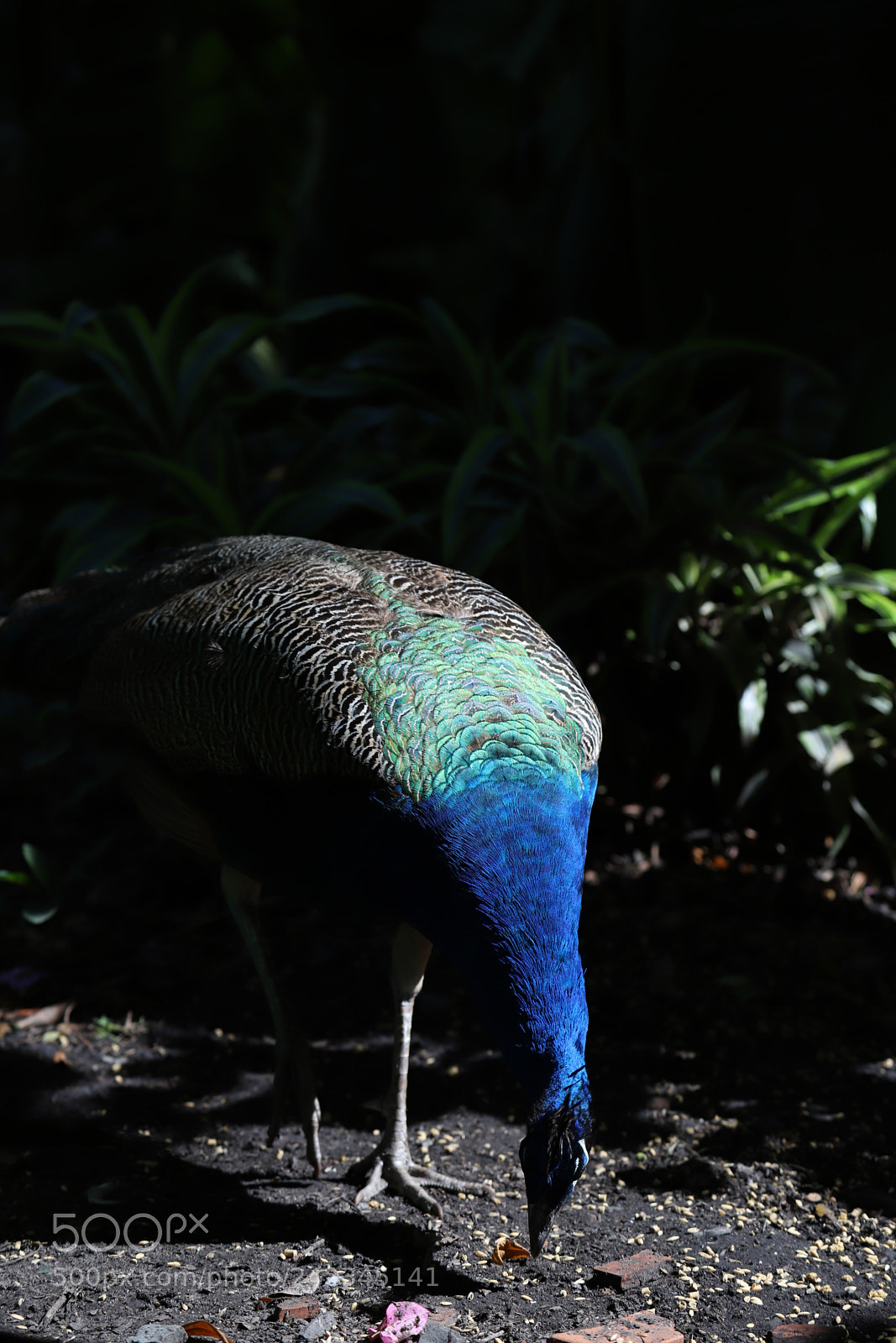 Canon EF 24-105mm F4L IS USM sample photo. No filter photography