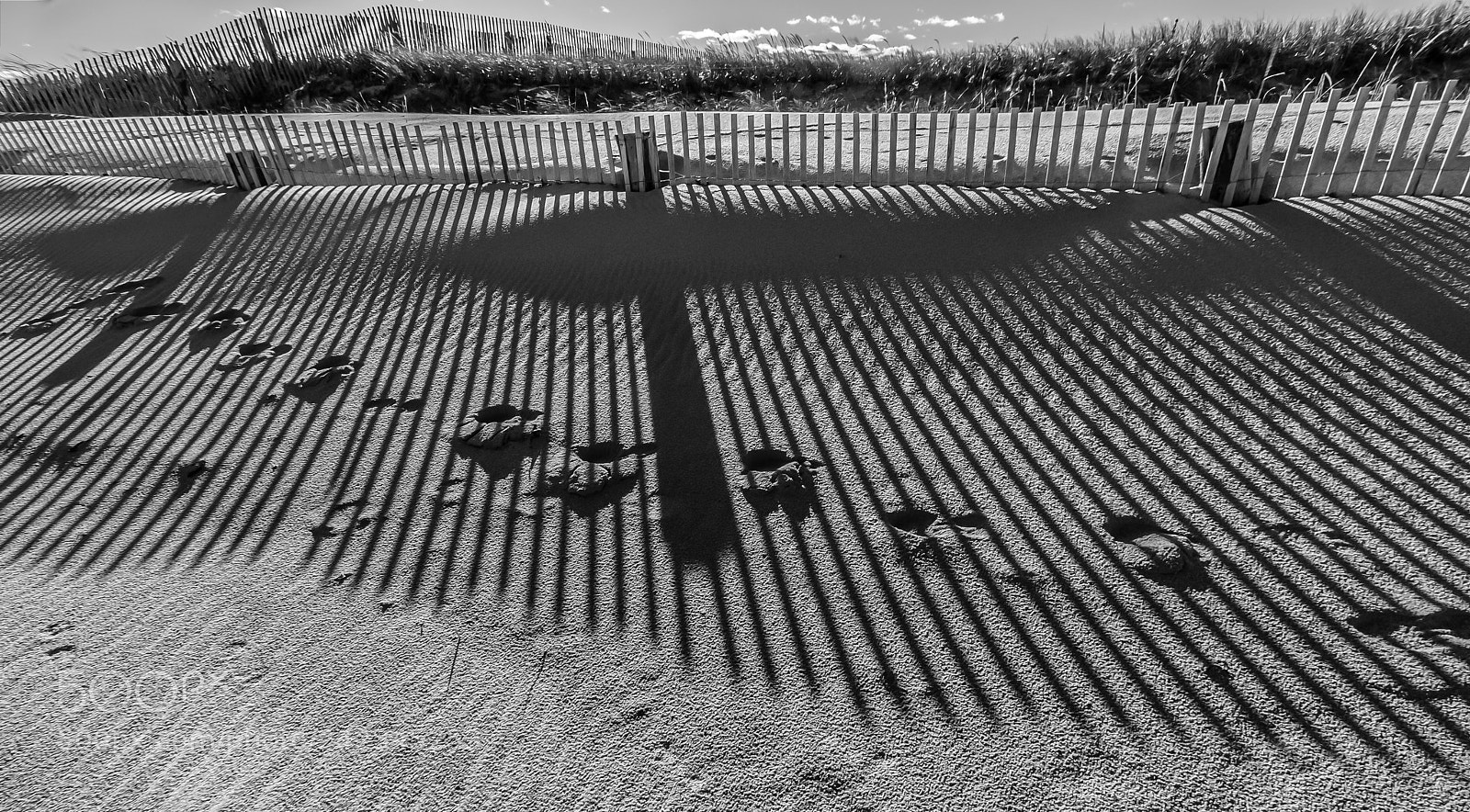 Canon EOS 40D sample photo. Dune fences photography