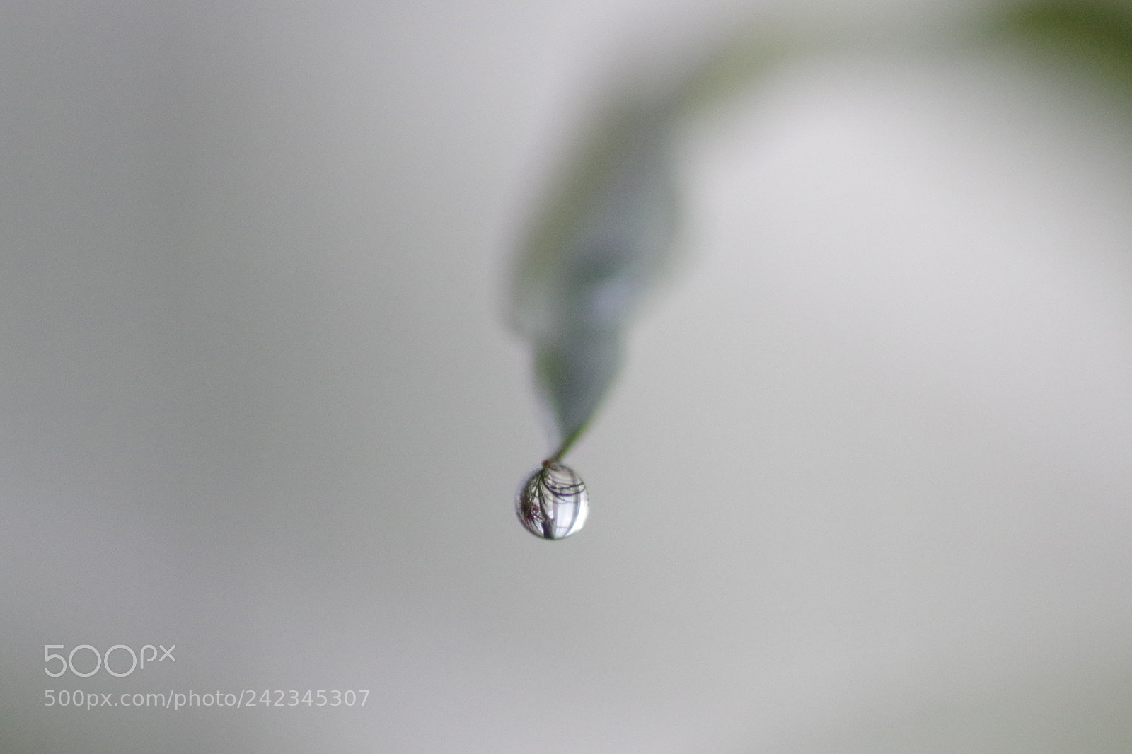 Pentax K-50 sample photo. The window photography