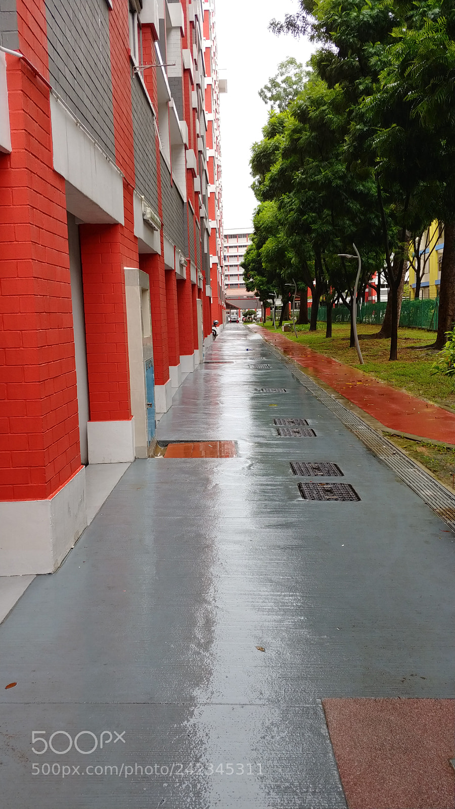 LG V30 sample photo. 6.hdb and trees photography