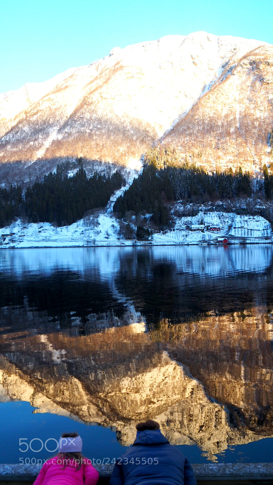 Olympus OM-D E-M10 sample photo. Reflections photography