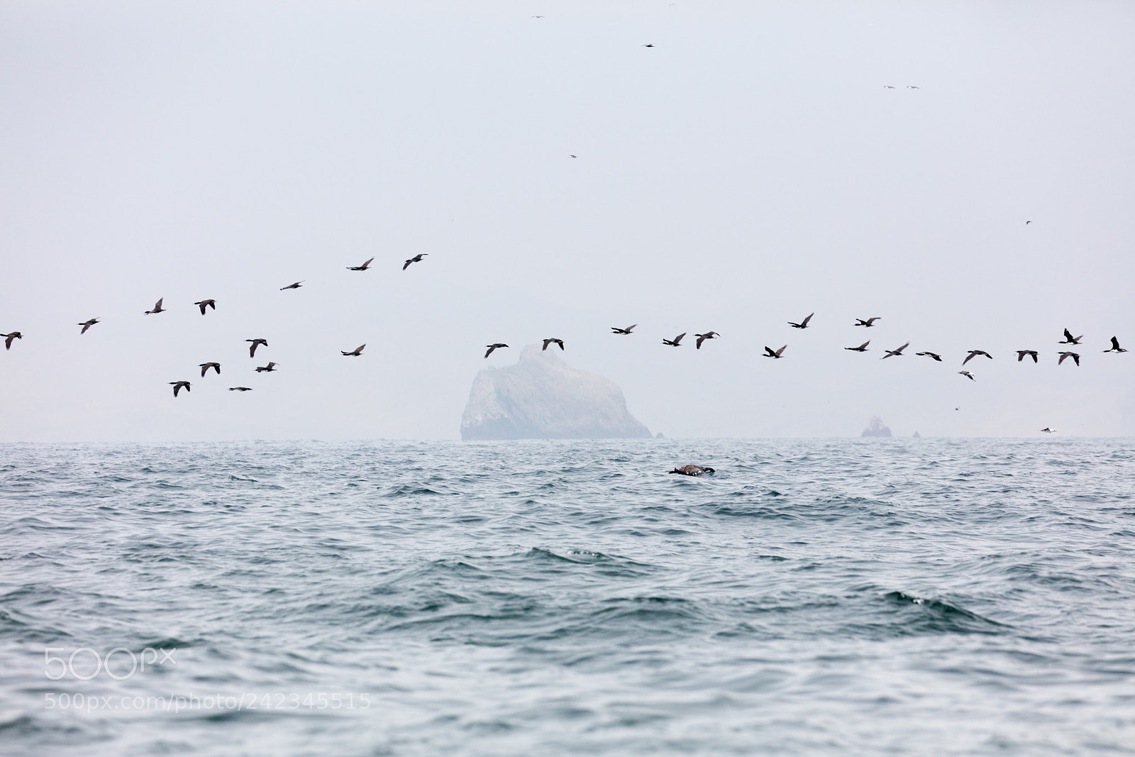 Canon EOS 5DS R sample photo. Ballestas islands, perù photography