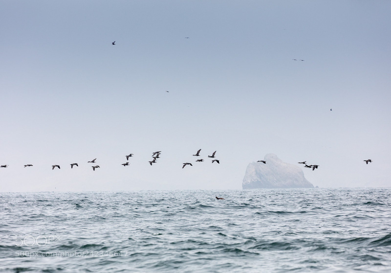 Canon EOS 5DS R sample photo. Ballestas islands, peru photography