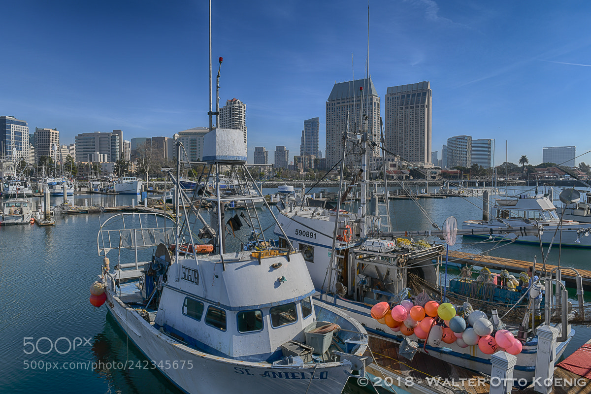 Nikon D850 sample photo. Lobster boats at the photography