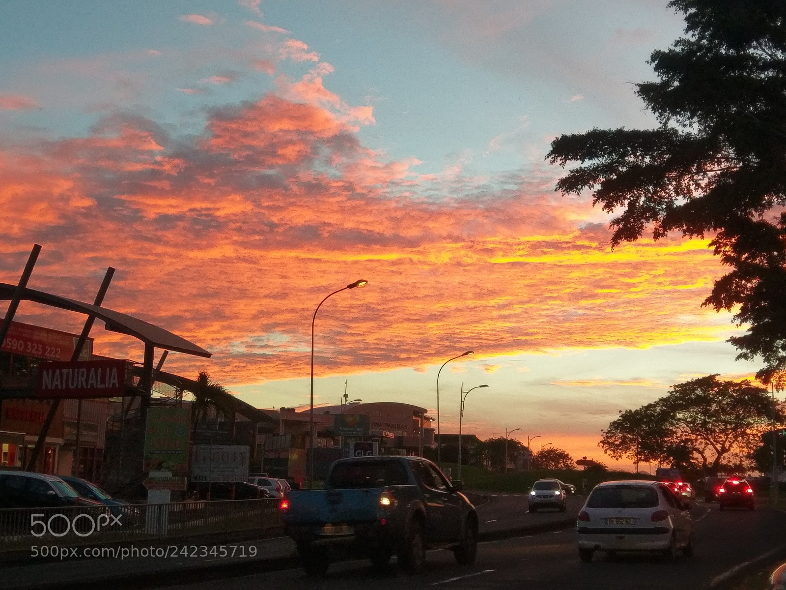 HTC 10 sample photo. Untitled photography