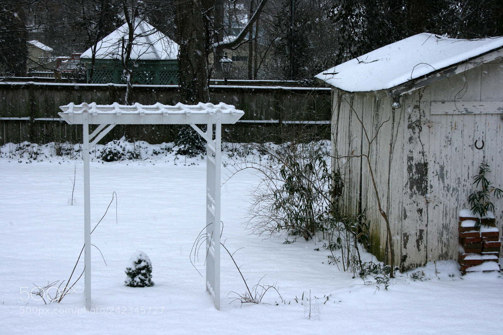 Canon EOS 400D (EOS Digital Rebel XTi / EOS Kiss Digital X) sample photo. Snowy morn photography