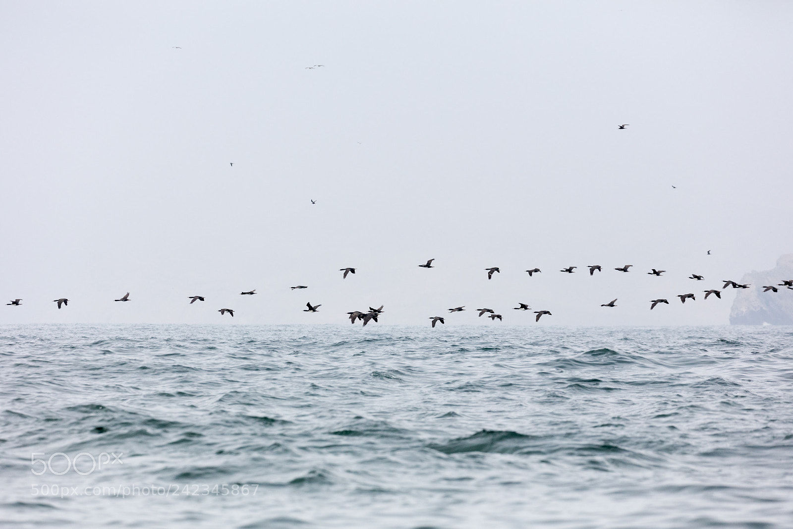 Canon EOS 5DS R sample photo. Ballestas islands, peru photography