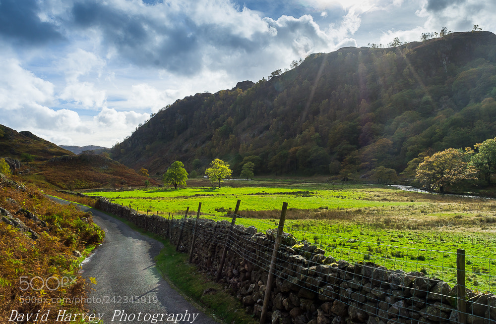 Nikon D7200 sample photo. Sunshine valley photography