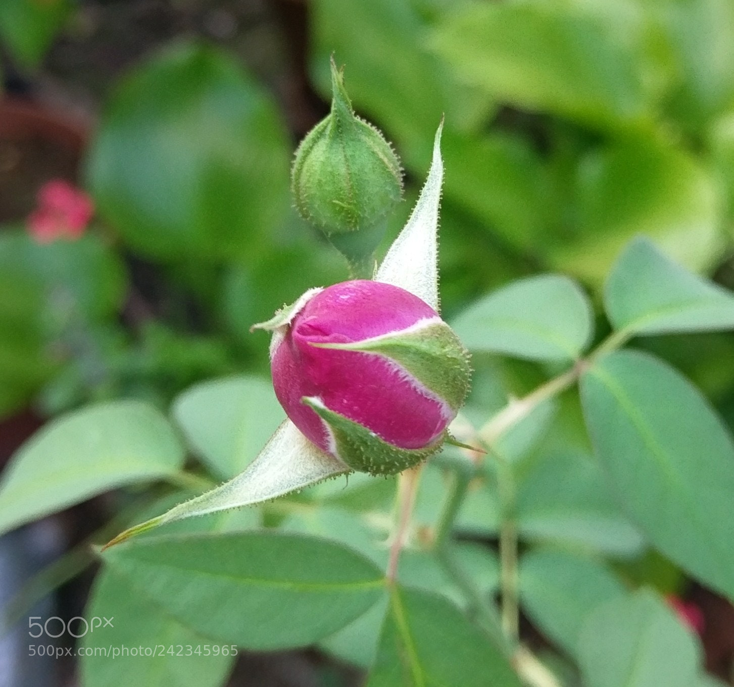 HTC 10 sample photo. Untitled photography