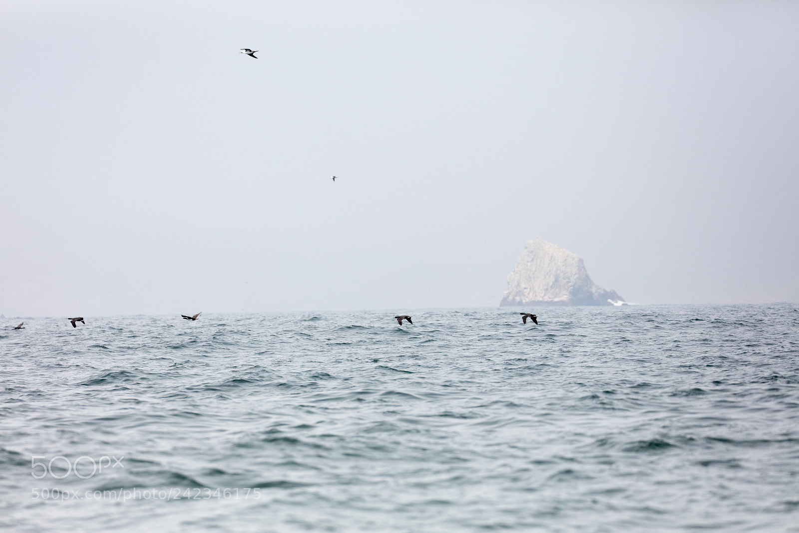 Canon EOS 5DS R sample photo. Ballestas islands, peru photography