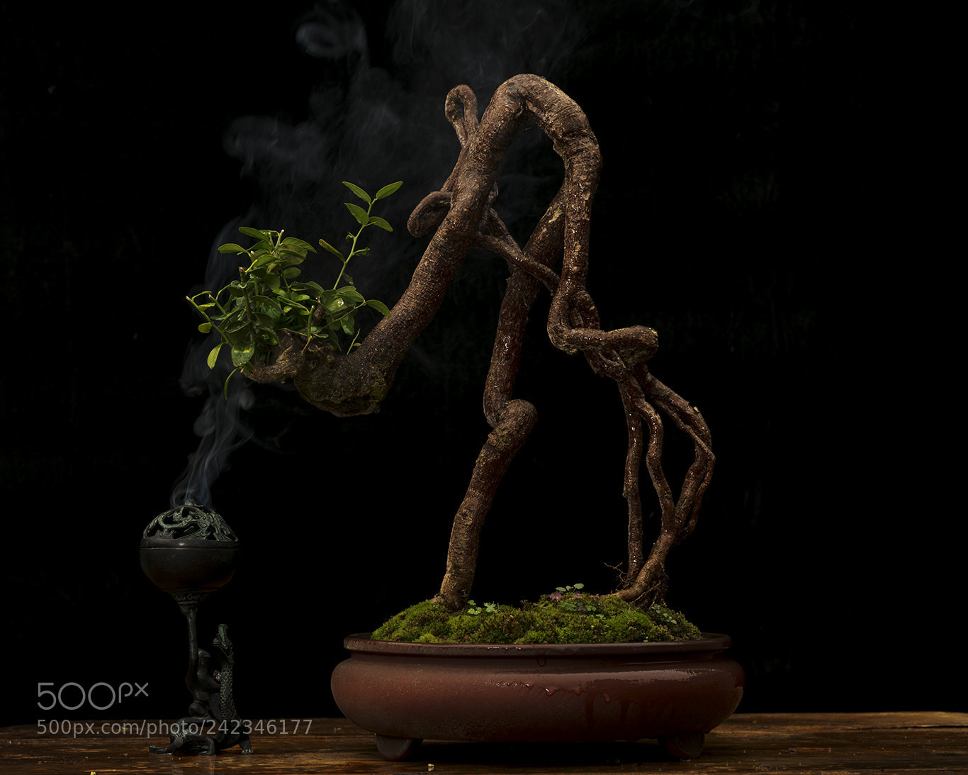 Canon EOS 5DS R sample photo. Untitled photography
