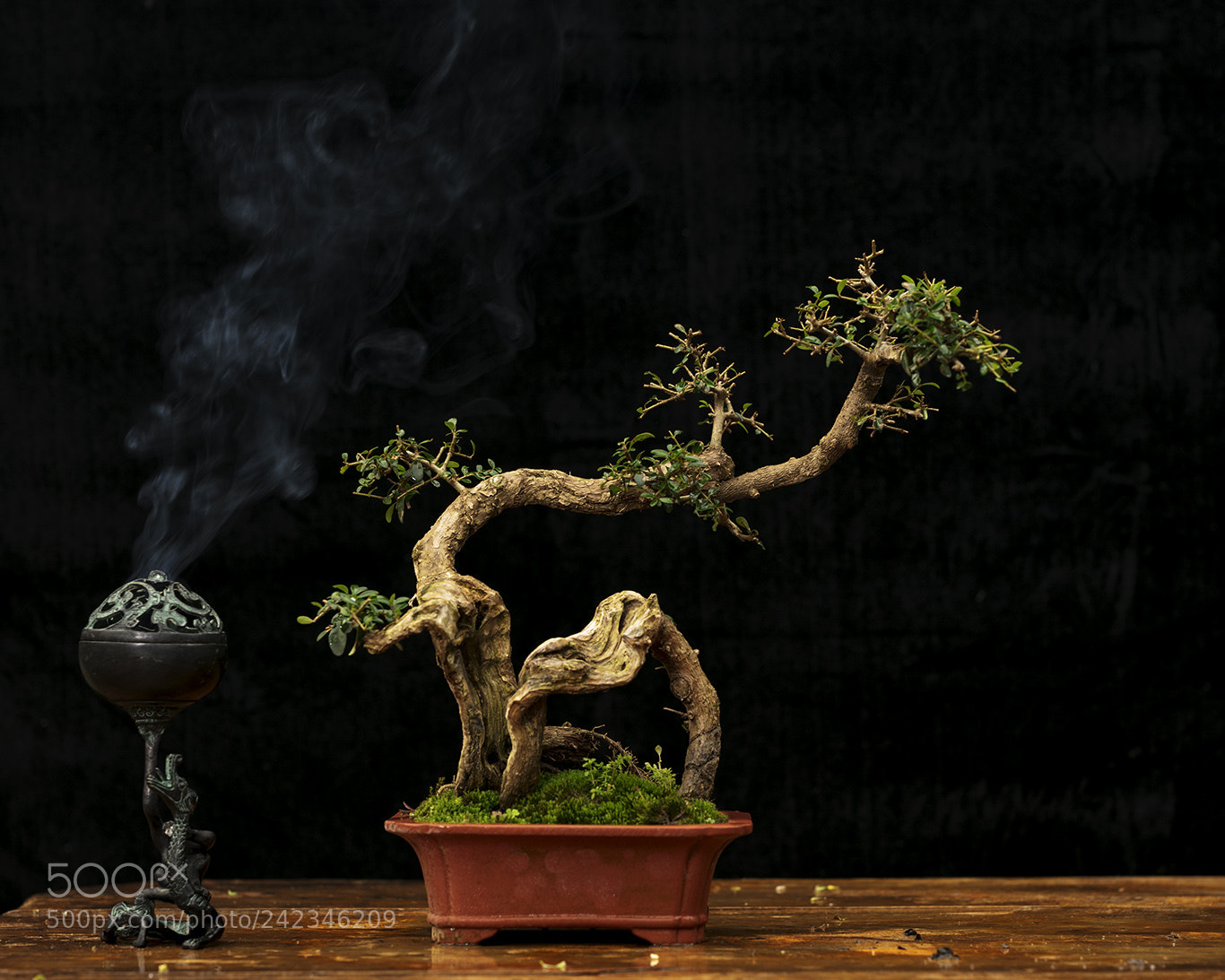 Canon EOS 5DS R sample photo. Untitled photography