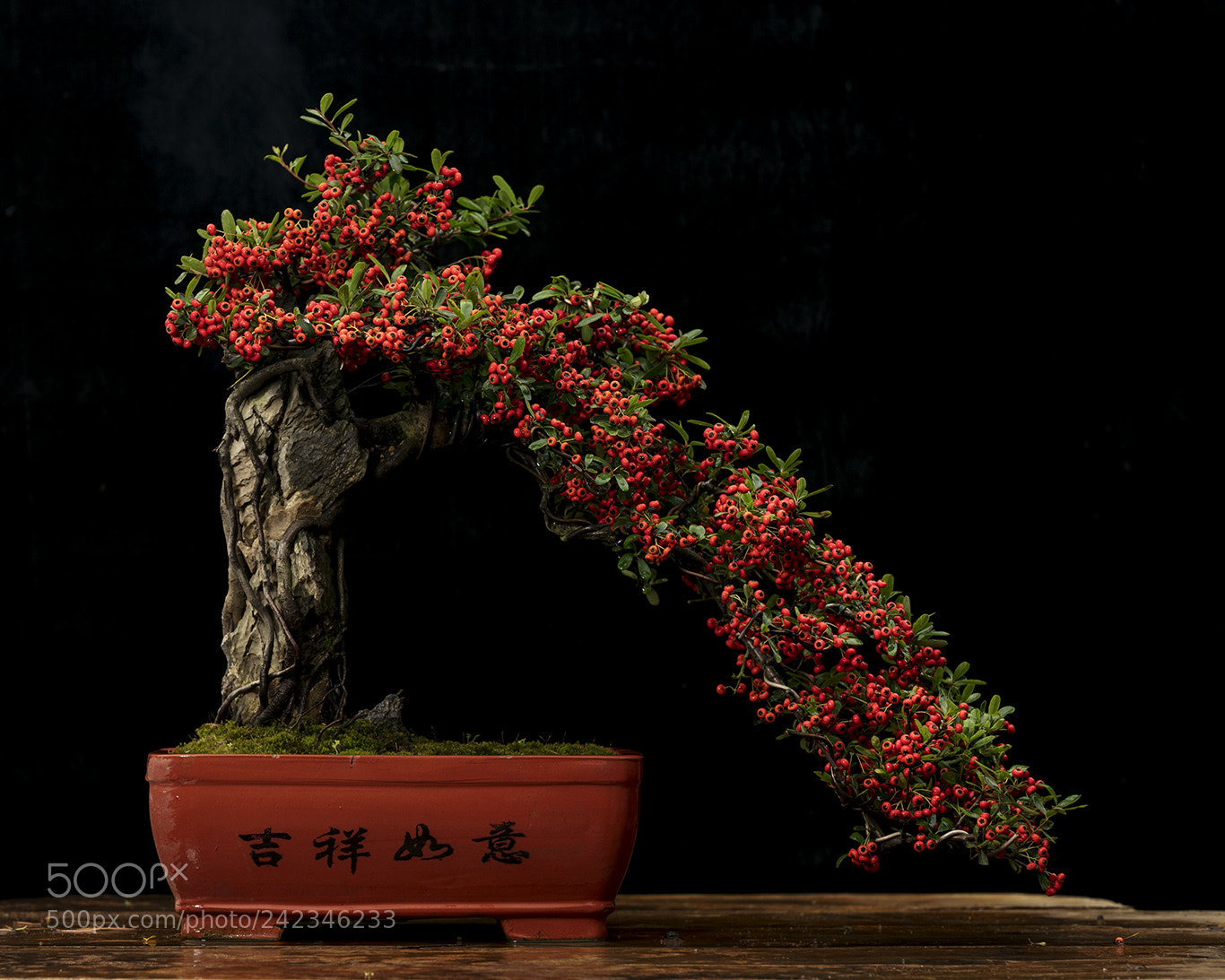 Canon EOS 5DS R sample photo. Untitled photography