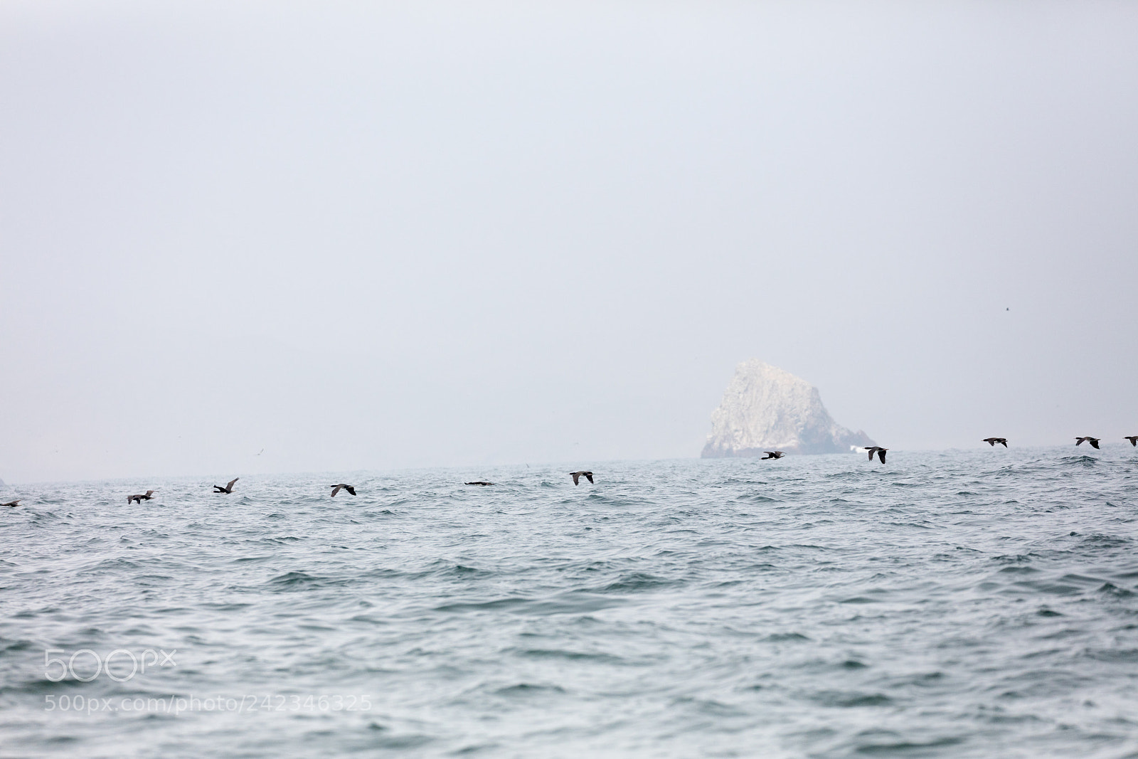 Canon EOS 5DS R sample photo. Ballestas islands, perù photography