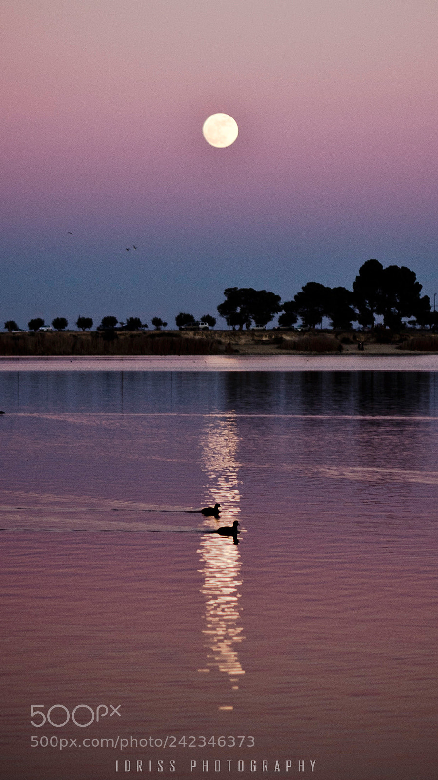 Canon EOS 1100D (EOS Rebel T3 / EOS Kiss X50) sample photo. Moon rise photography