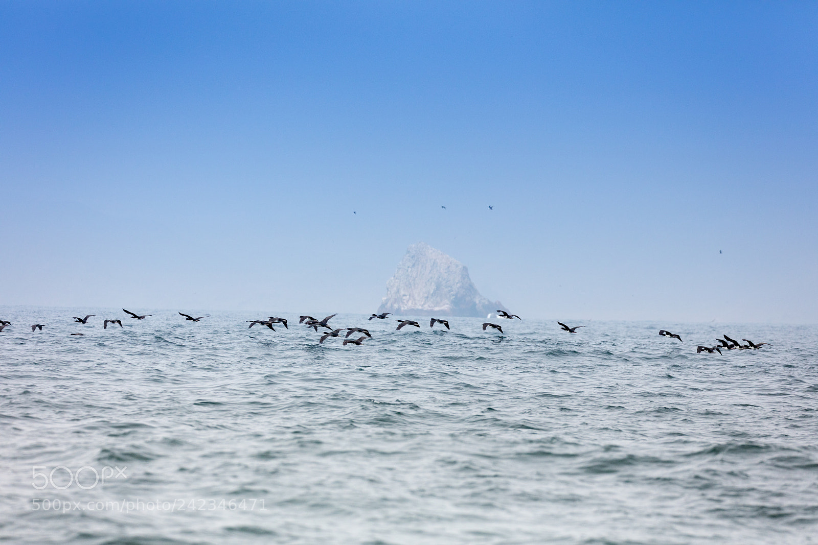 Canon EOS 5DS R sample photo. Ballestas islands, perù photography
