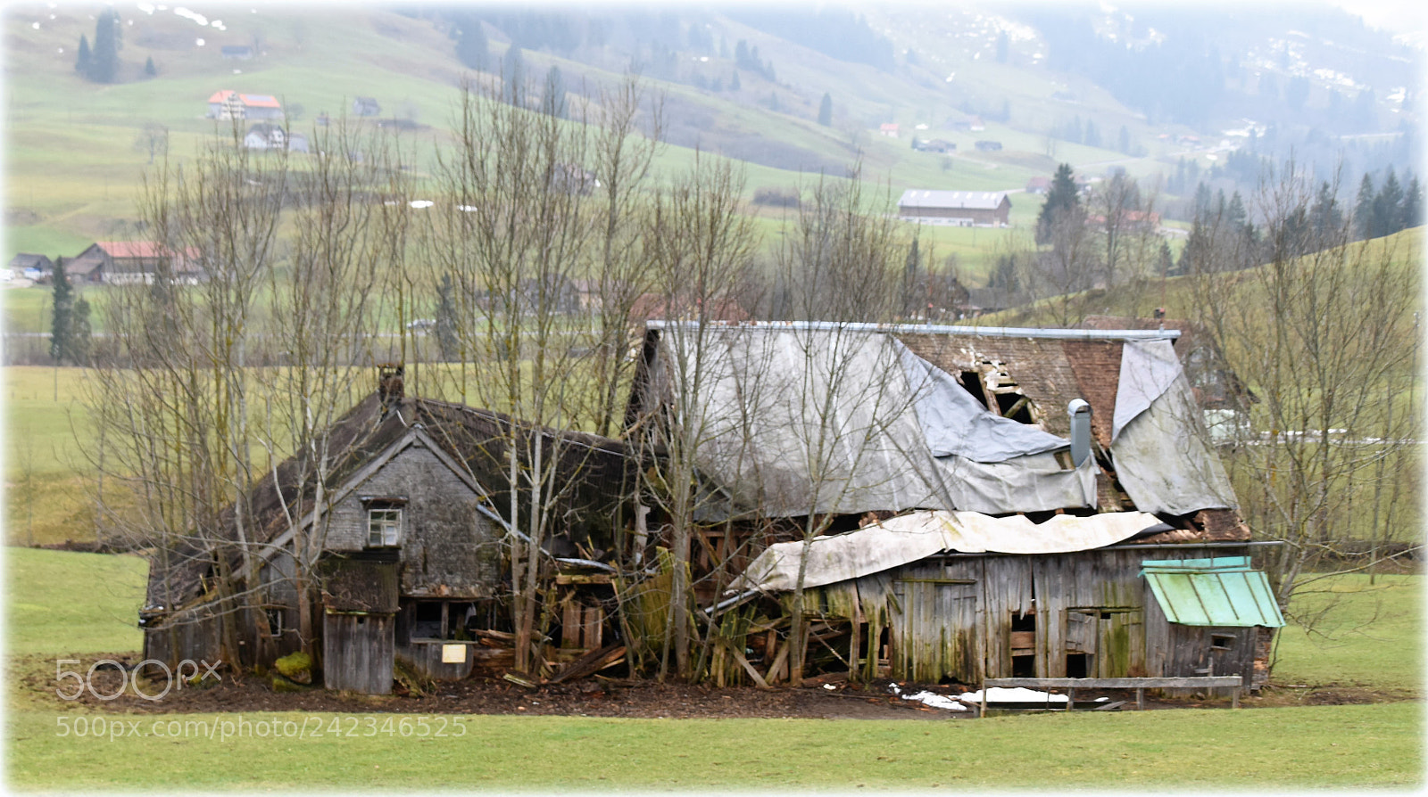 Nikon D810 sample photo. "still" photography