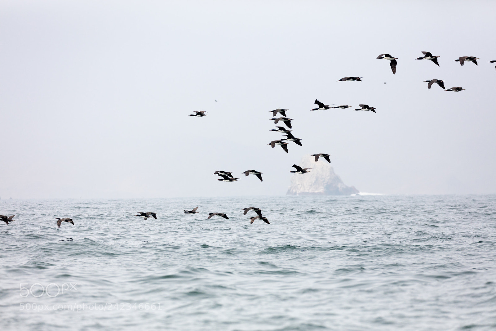 Canon EOS 5DS R sample photo. Ballestas islands, perù photography