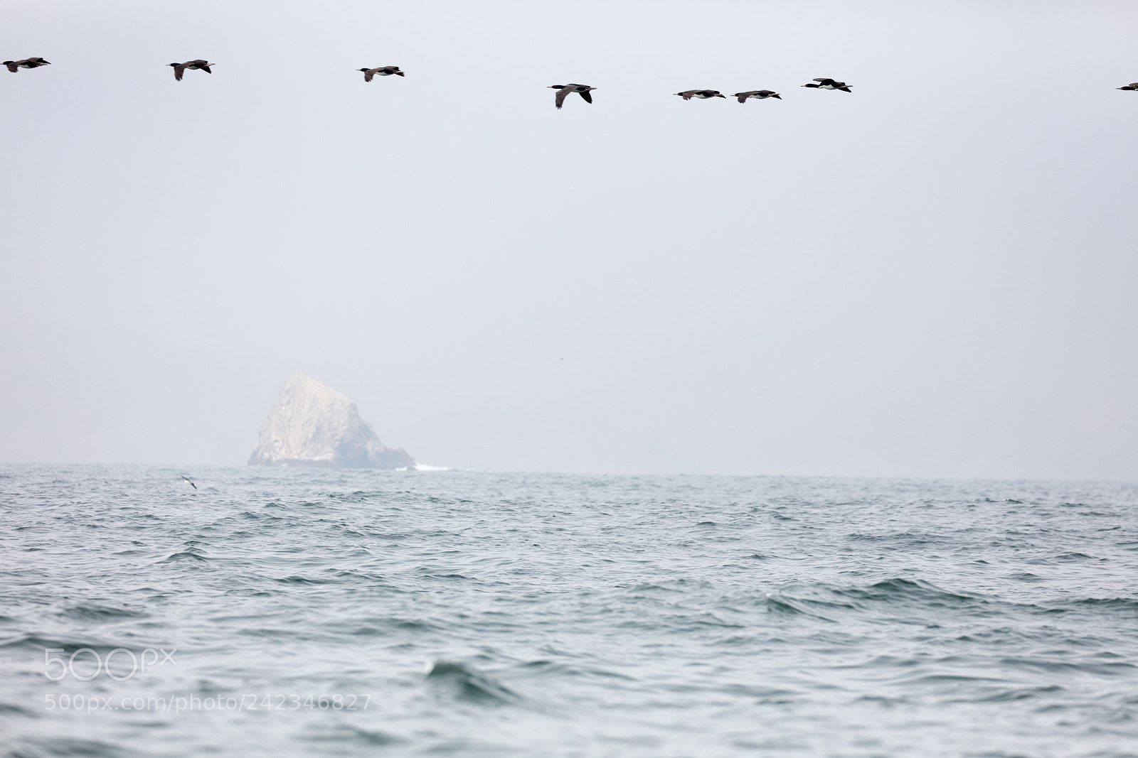 Canon EOS 5DS R sample photo. Ballestas islands, perù photography