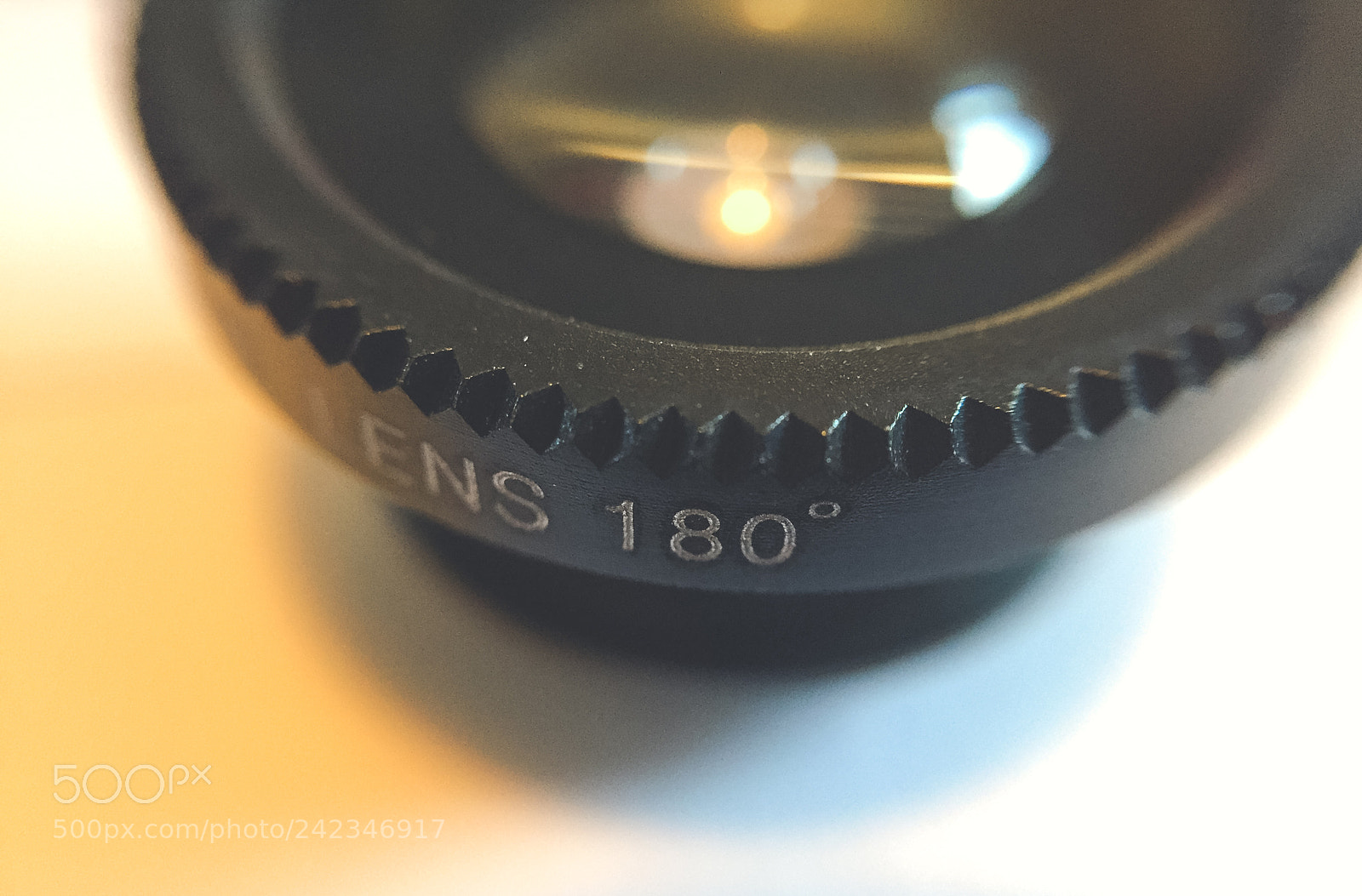 Apple iPhone 6 sample photo. Closeup of an 180 photography