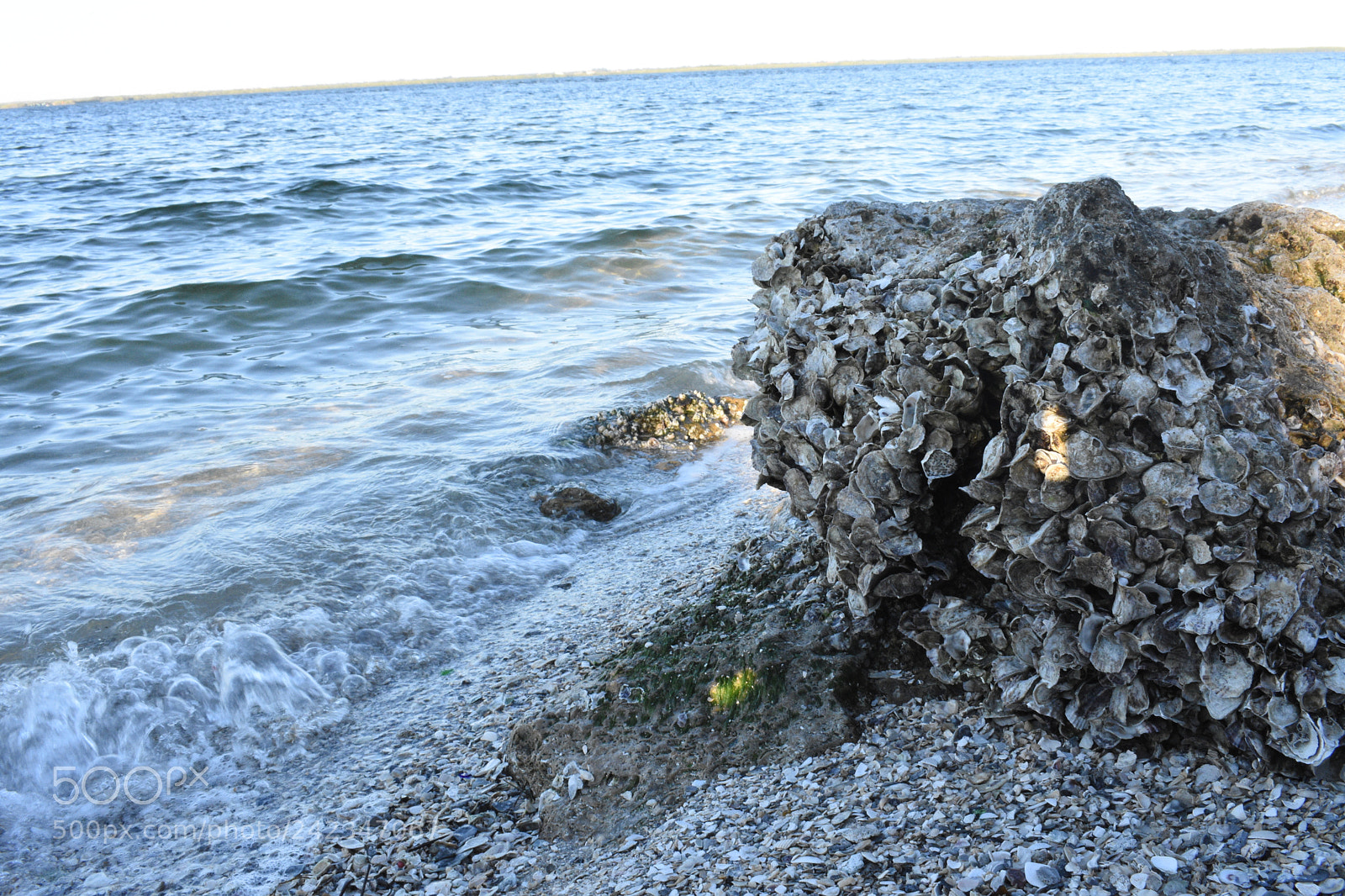 Nikon D3400 sample photo. Shoreline photos photography