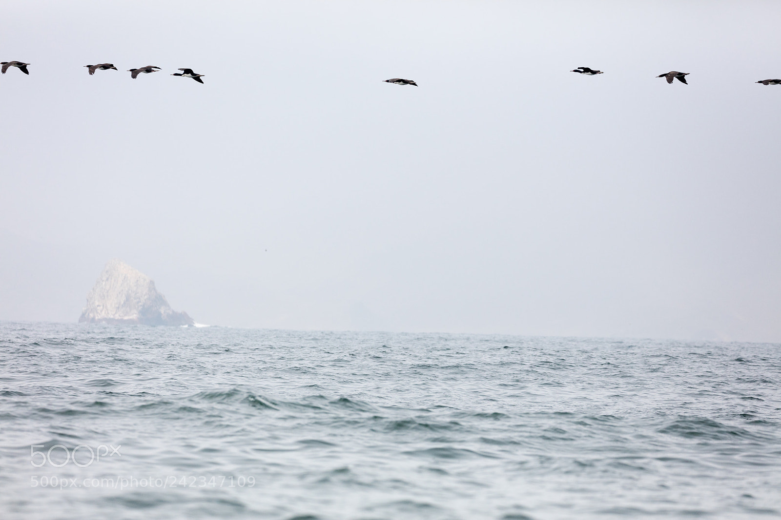 Canon EOS 5DS R sample photo. Ballestas islands, perù photography