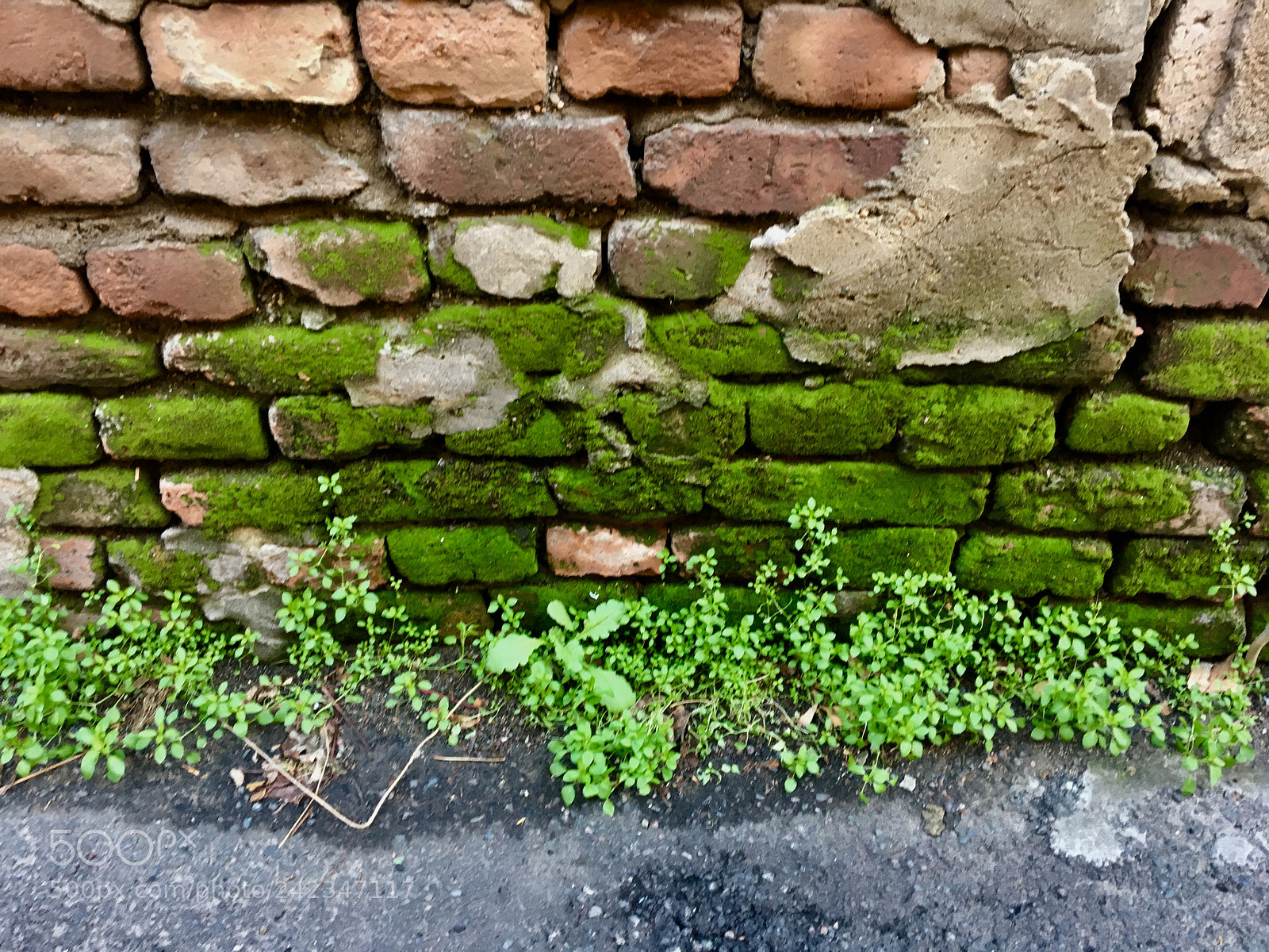Apple iPhone 6s sample photo. Untitled photography