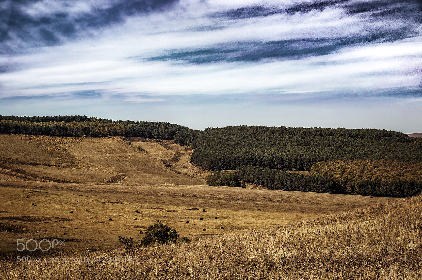 Sony SLT-A37 sample photo. Harvest time photography