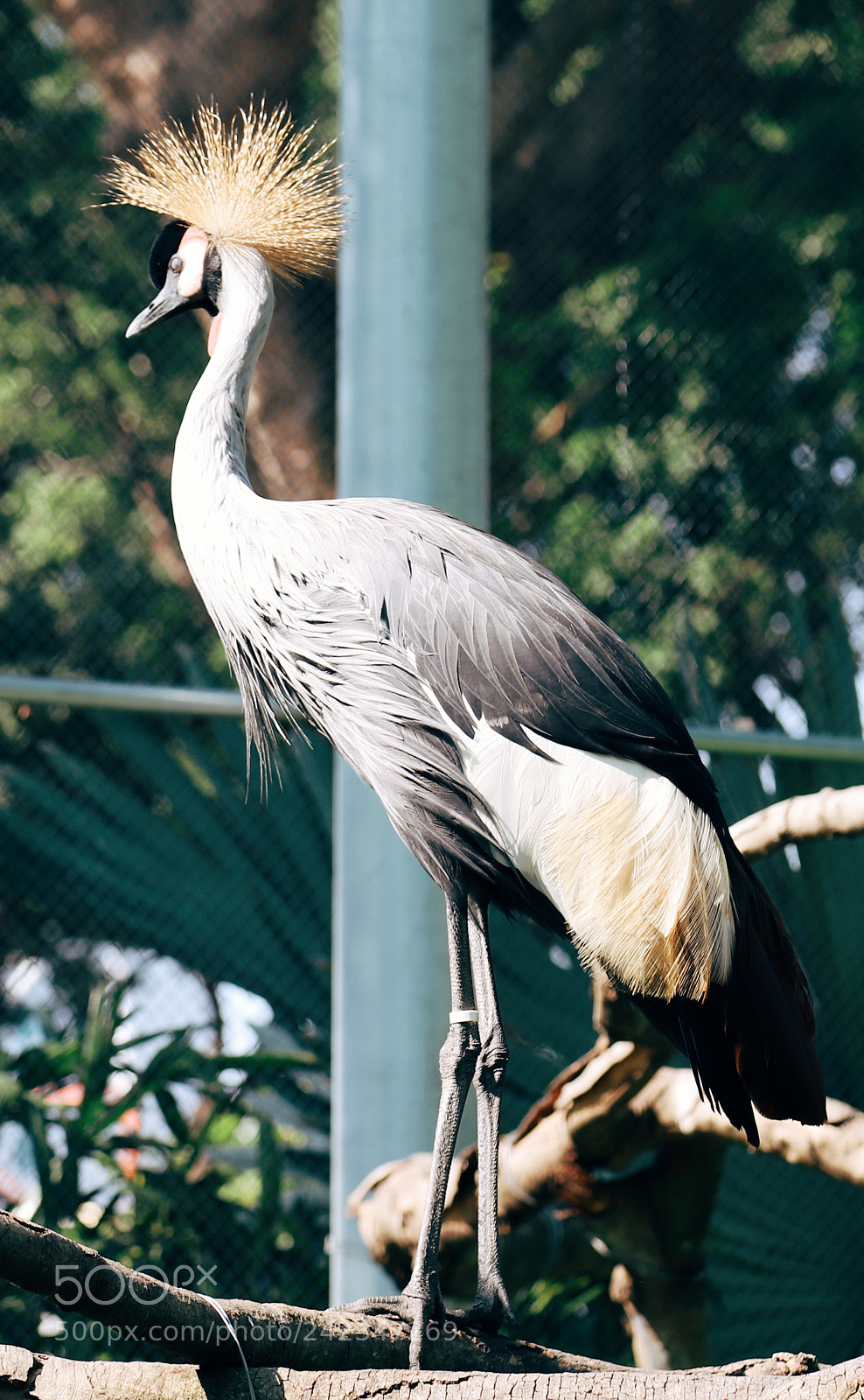 Canon EOS 6D Mark II sample photo. Untitled photography