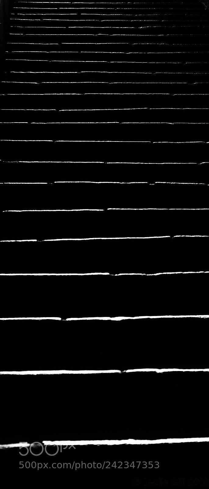 Sigma sd Quattro sample photo. Thin white lines photography