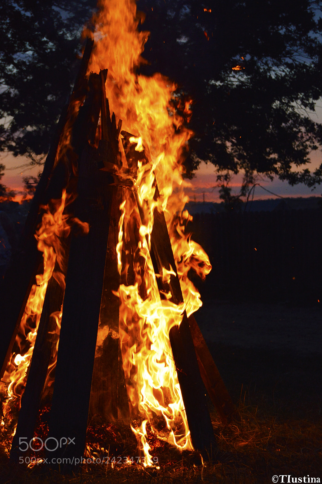 Nikon D3200 sample photo. Camp fire photography