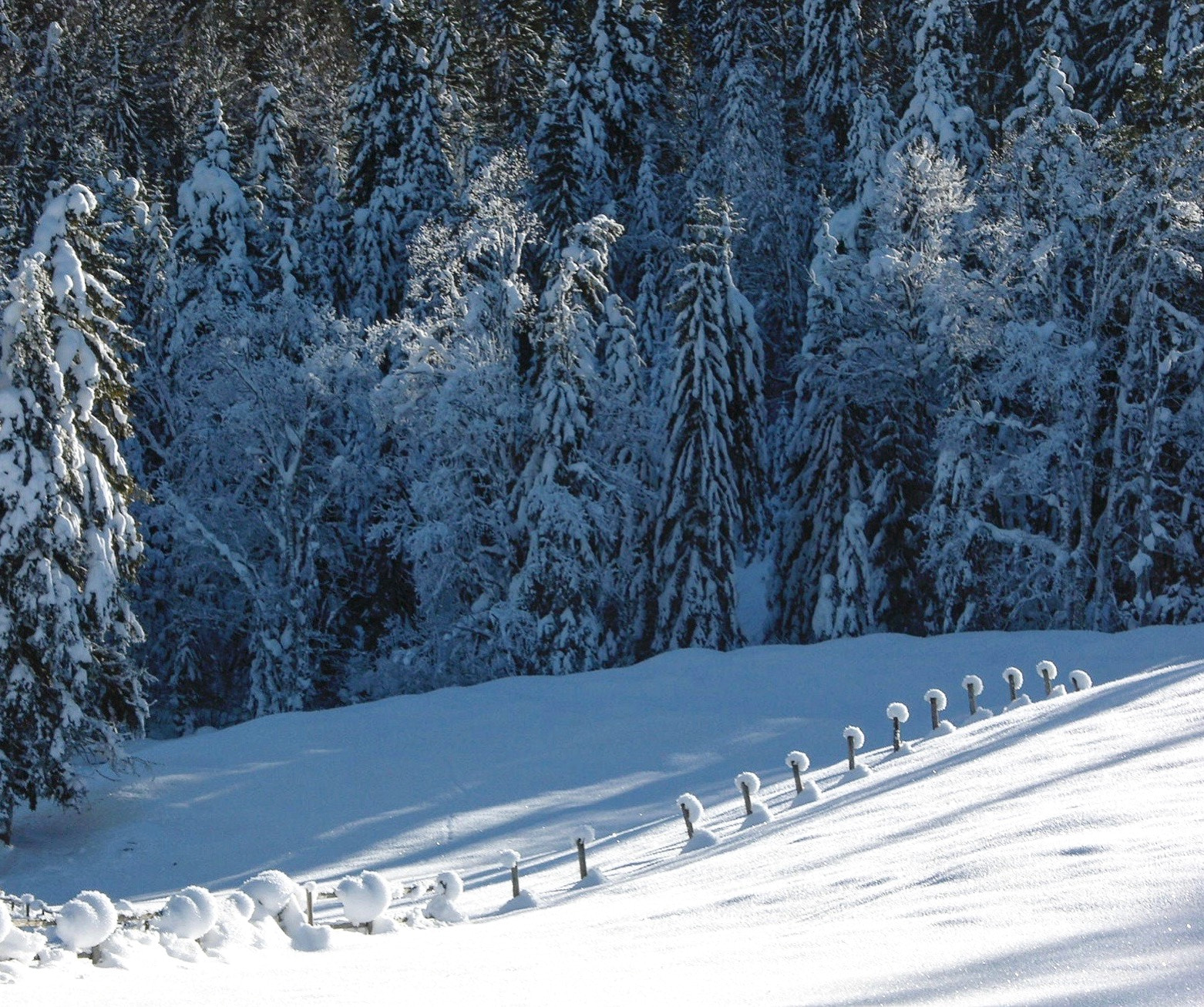 Nikon E8700 sample photo. Winterscene photography