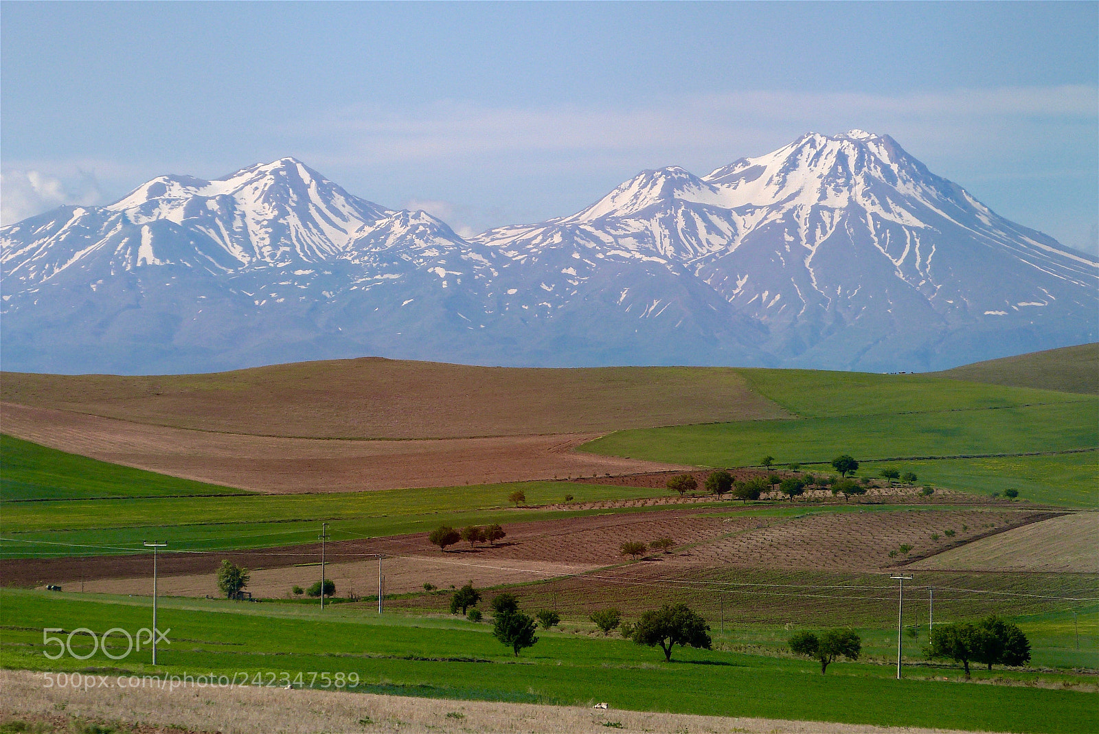 Panasonic Lumix DMC-FZ47 (Lumix DMC-FZ48) sample photo. Snowy peaks behind farmlands photography