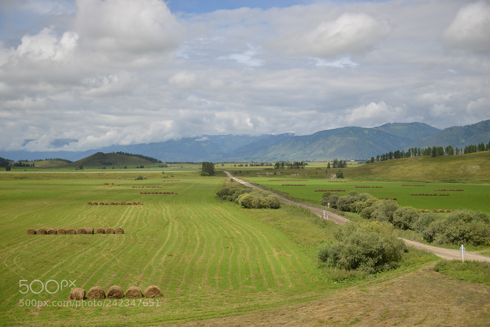Nikon D800E sample photo. Altai photography