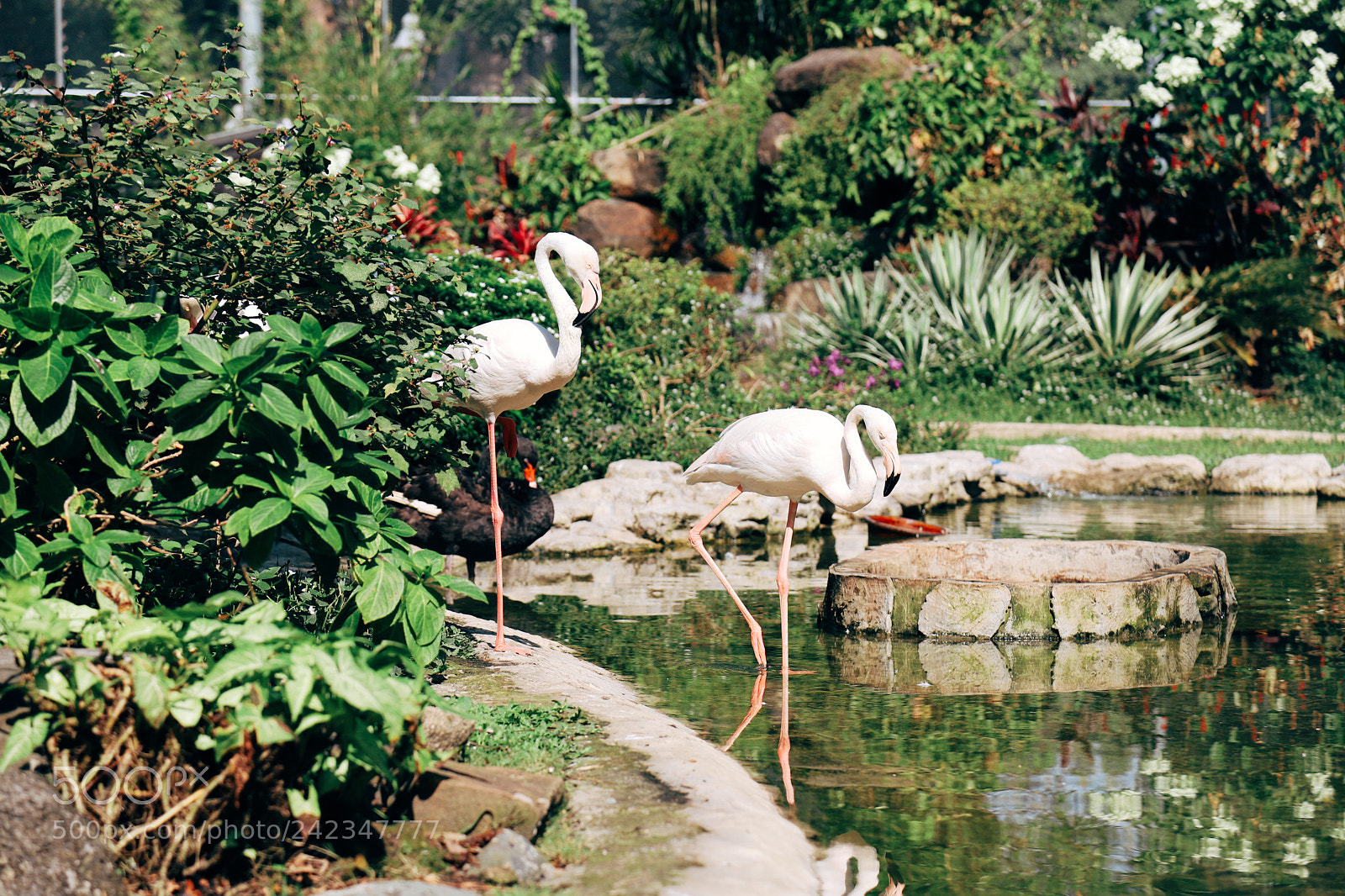 Canon EOS 6D Mark II sample photo. Botanical garden & zoo saigon photography
