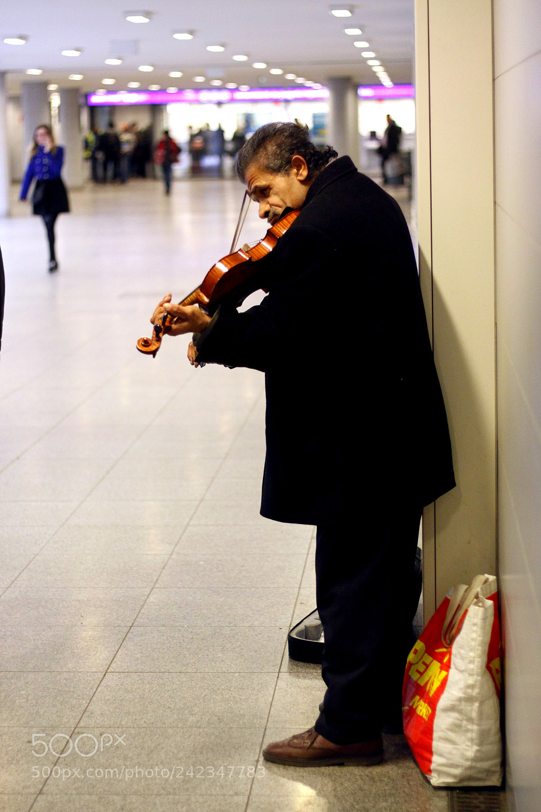Canon EOS 50D sample photo. Fiddler photography