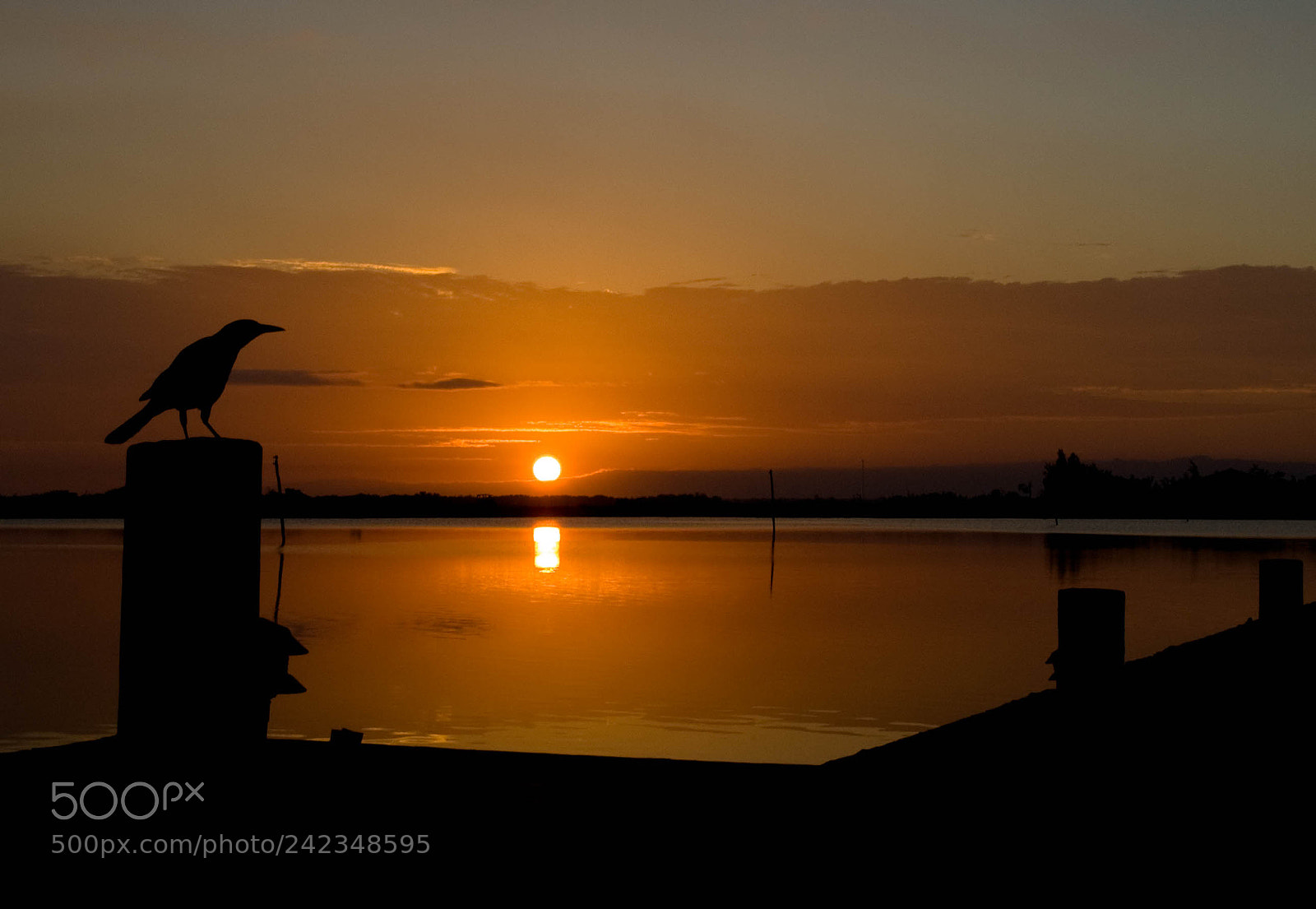 Olympus E-510 (EVOLT E-510) sample photo. Sunset on the lagoon photography